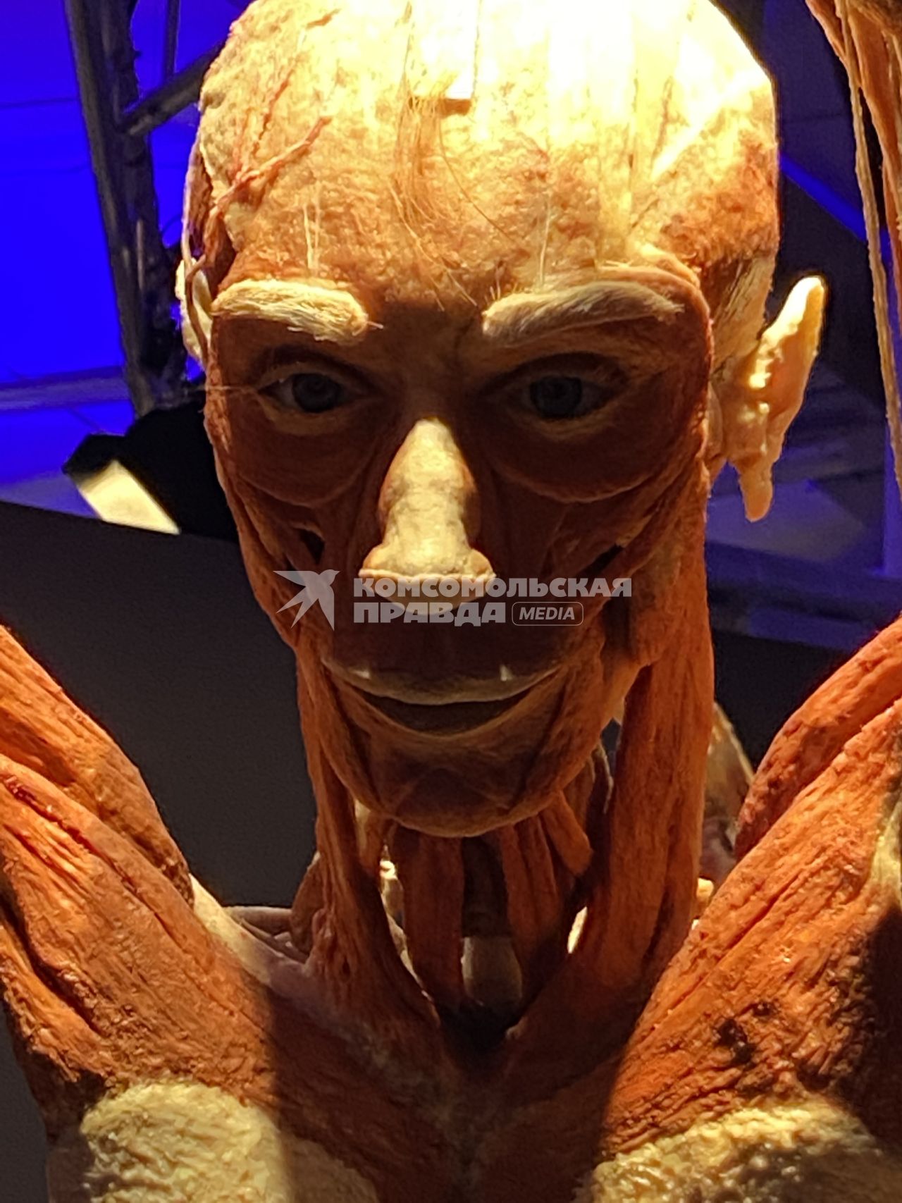 ВДНХ. Выставка BODY WORLDS. 2021