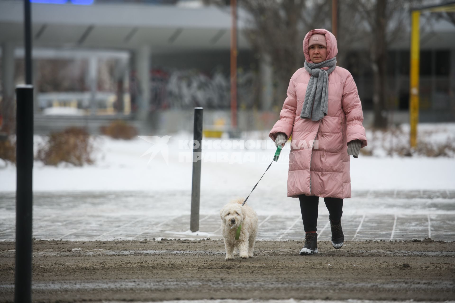 Екатеринбург. Женщина гуляет с собакой