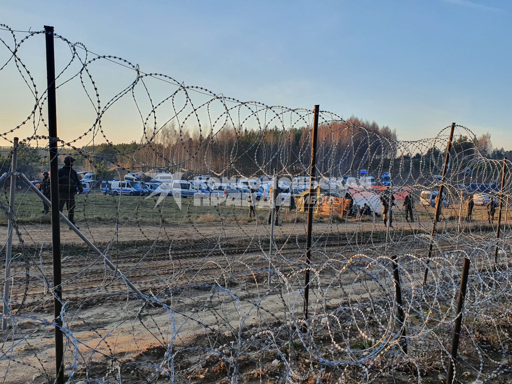 Белорусско-польская граница. Польские полицейские автомобили стоят по другую сторону от лагеря нелегальных мигрантов, где находятся беженцы из Ближнего Востока.