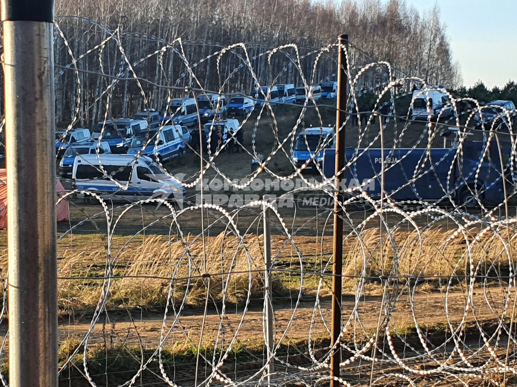 Белорусско-польская граница. Польские полицейские автомобили стоят по другую сторону от лагеря нелегальных мигрантов, где находятся беженцы из Ближнего Востока.