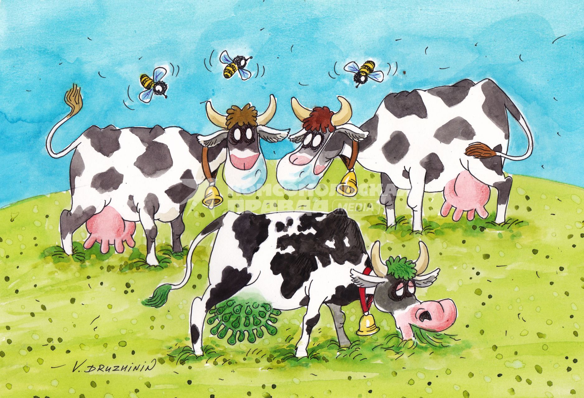 Карикатура. Коровы пасутся на лугу. Две коровы в масках, третья ест траву, а вместо вымени - клетки коронавируса.