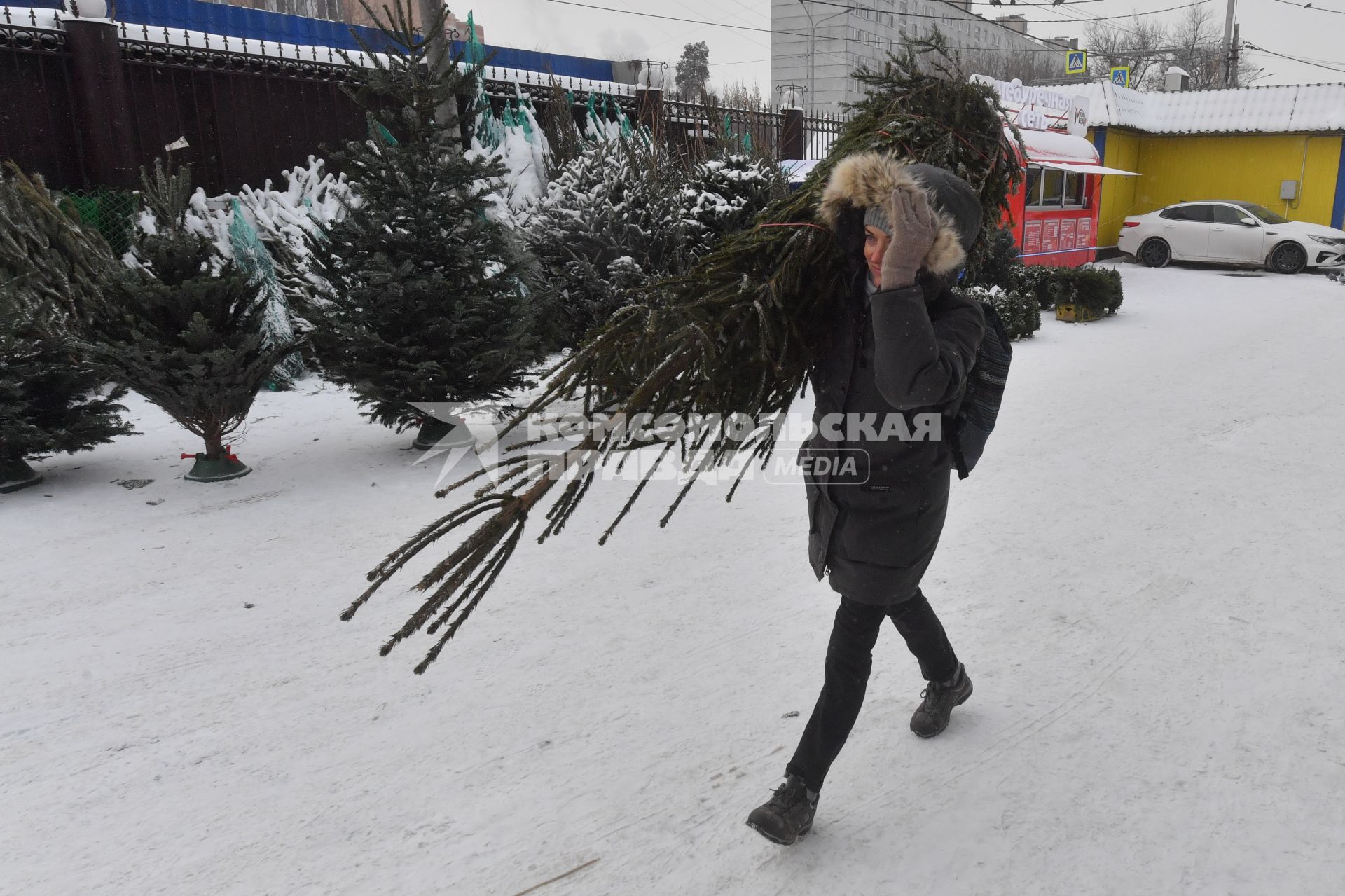 Москва. Торговля новогодними елками.