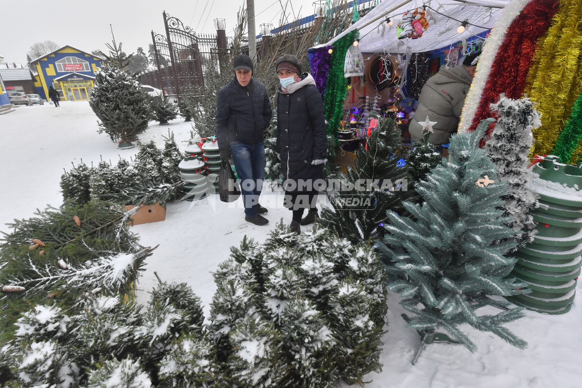 Москва. Торговля  новогодними елками .