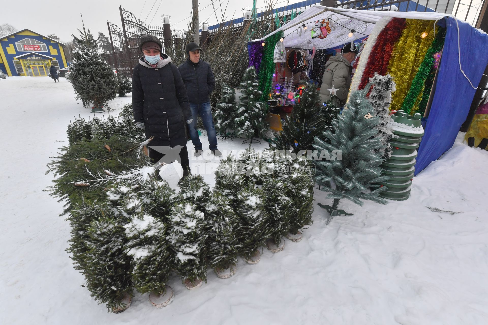 Москва. Торговля  новогодними елками .