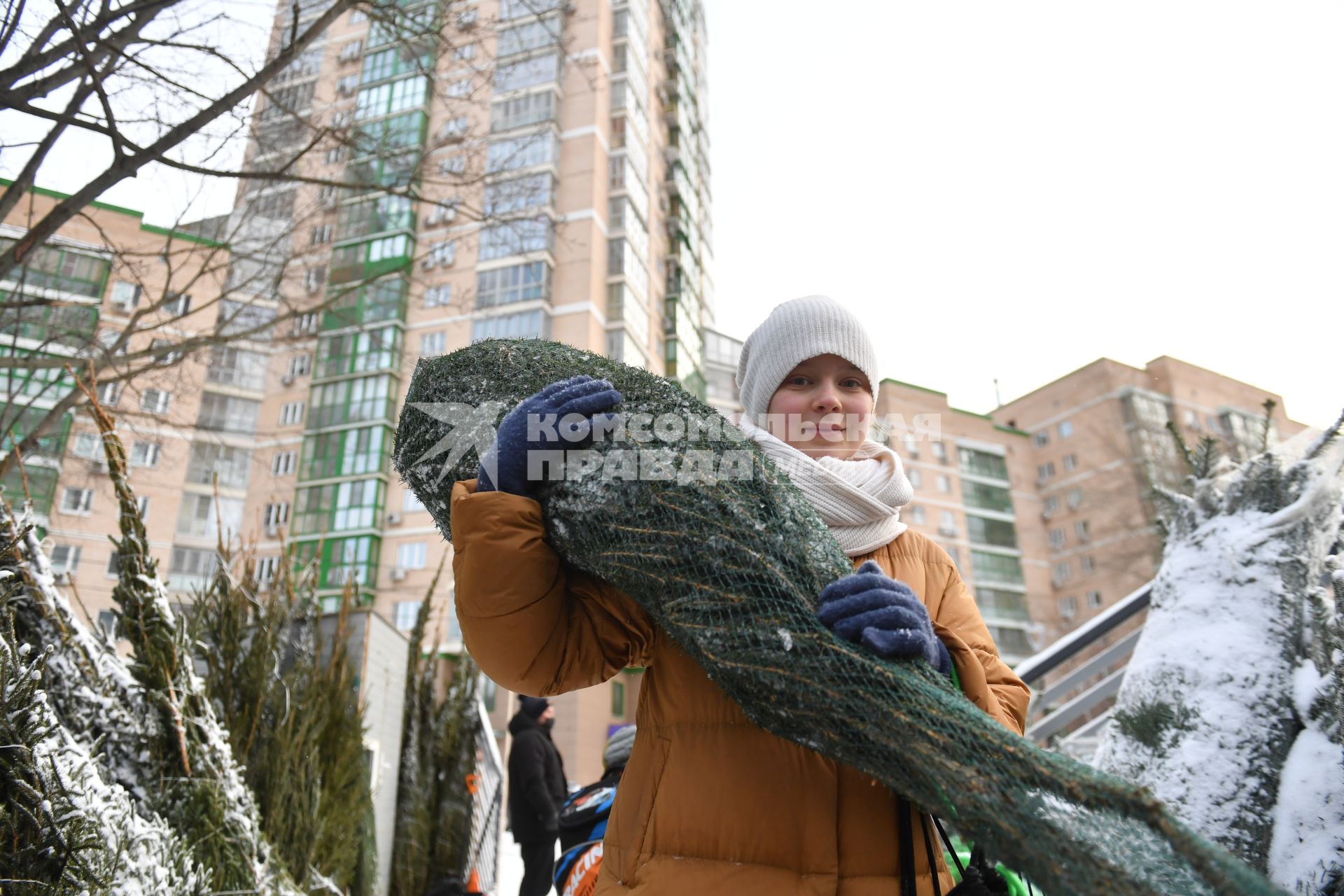 Москва.  Девушка несет новогоднюю елку.