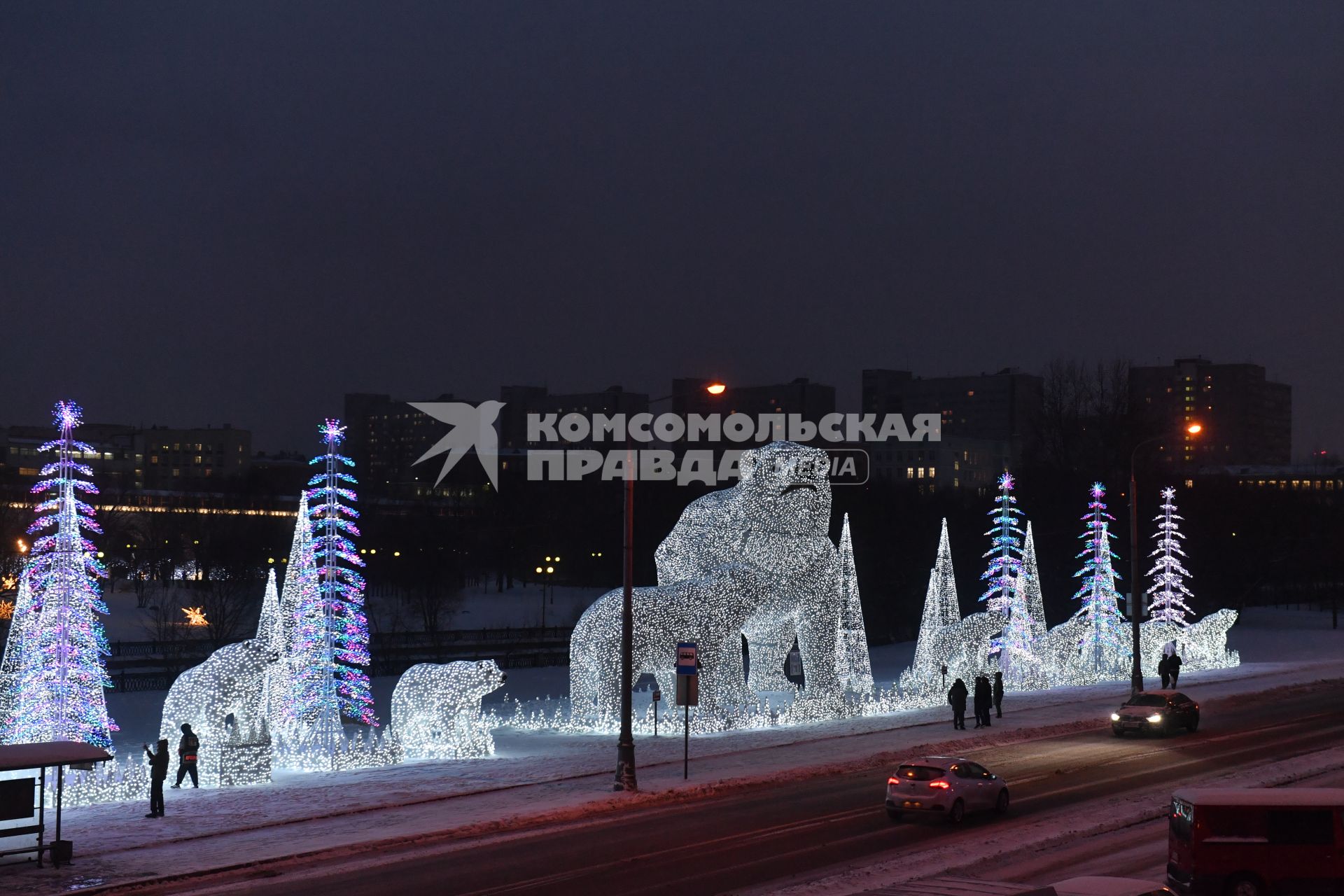 Москва.  Вид на новогоднюю иллюминацию `Полярные медведи`в парке у Ростокинского акведука.