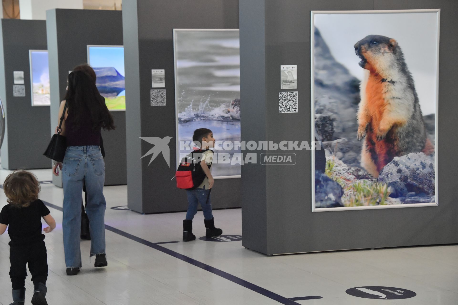 Москва.   Посетители на открытии выставки `Камчатка: твоё невероятное приключение`в Москвариуме на ВДНХ.