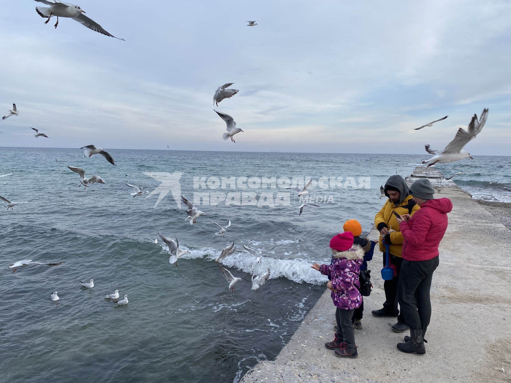 Украина. Одесса. Люди кормят чаек на набережной Черного моря.