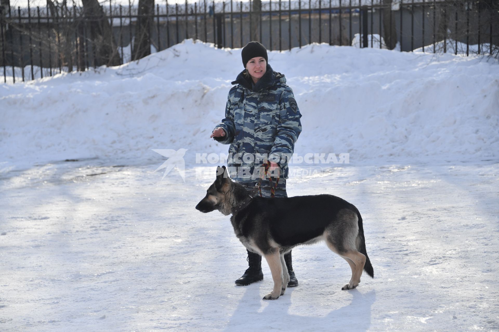 Москва. Кинолог с собакой во время занятий в Центре кинологической службы УВД по СВАО.