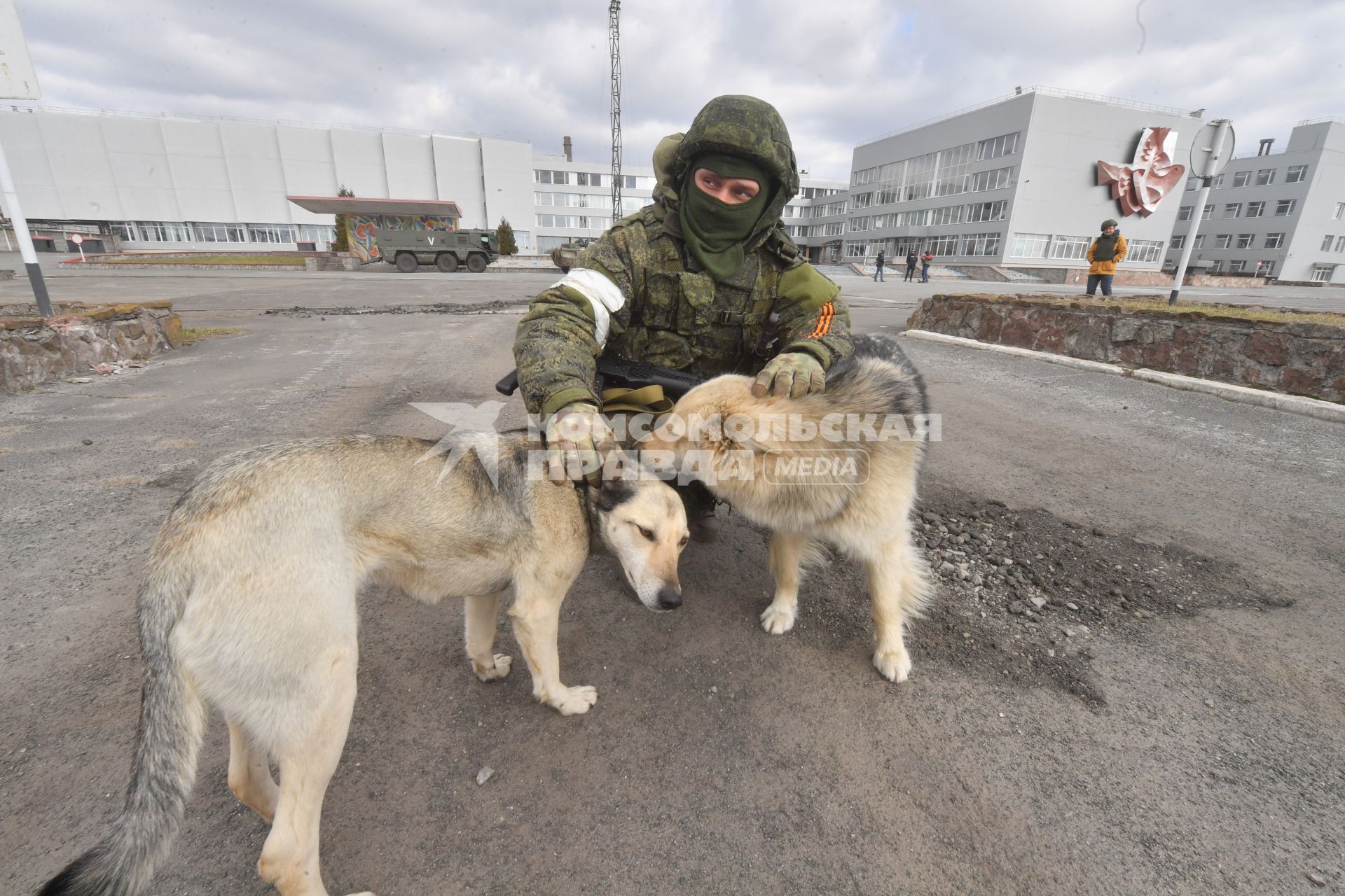 Киевская область. Вышгородский район. Военная операции РФ по демилитаризации Украины. Российские войска контролируют Чернобыльскую АЭС. Военнослужащий гладит собак.