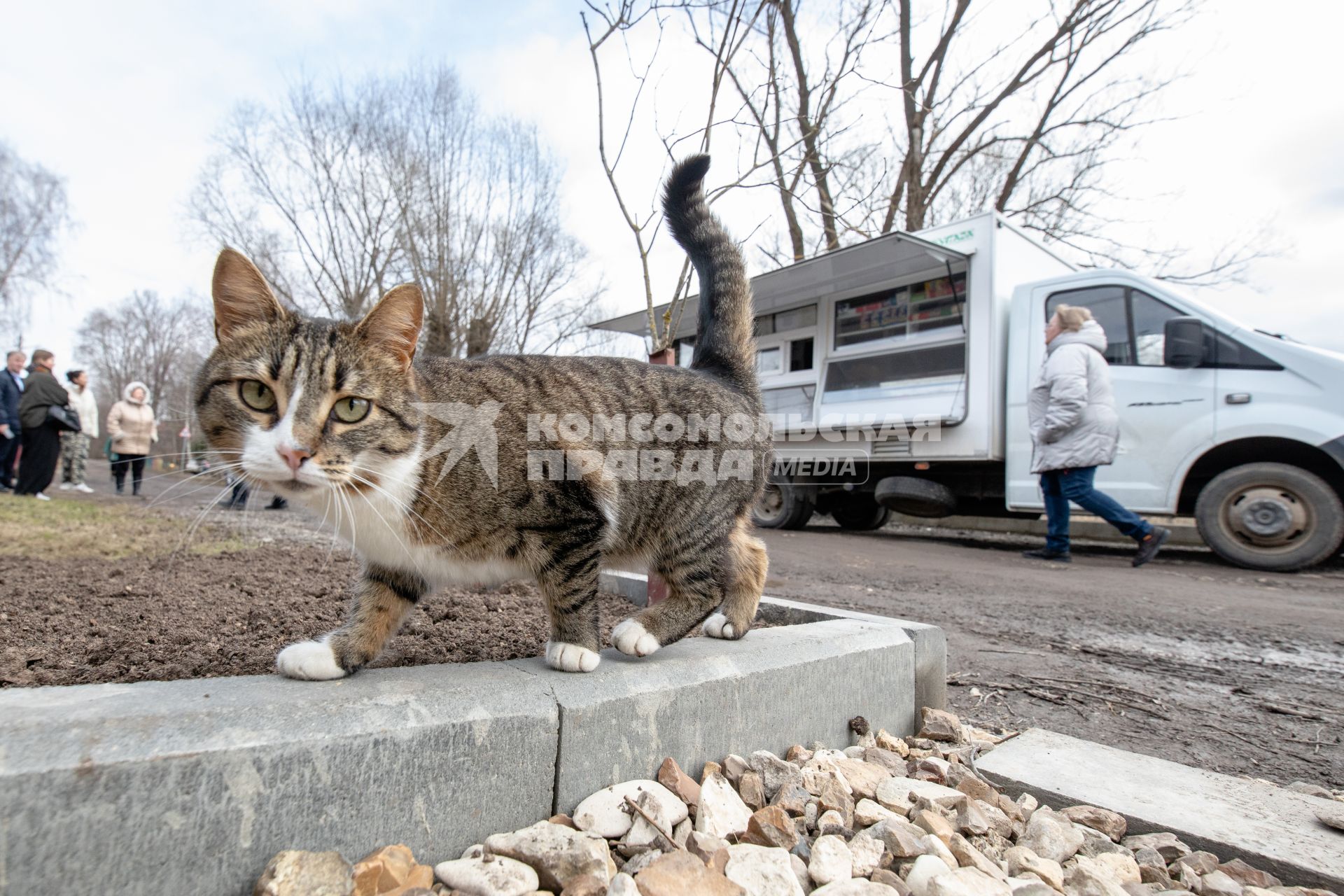 Московская область. Работа автолавки в селах Домодедовского городского округа.