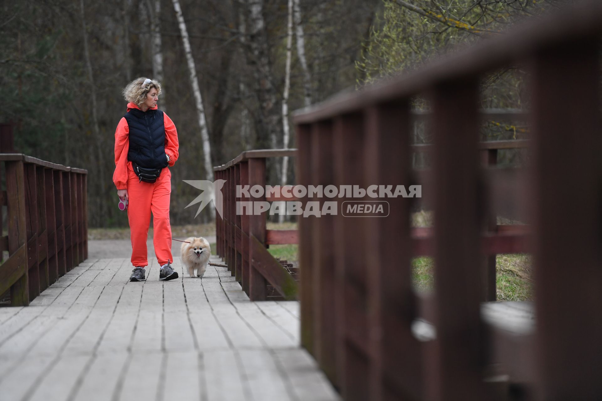 Москва.  Пешеходы на экологической тропе в Серебряном бору.