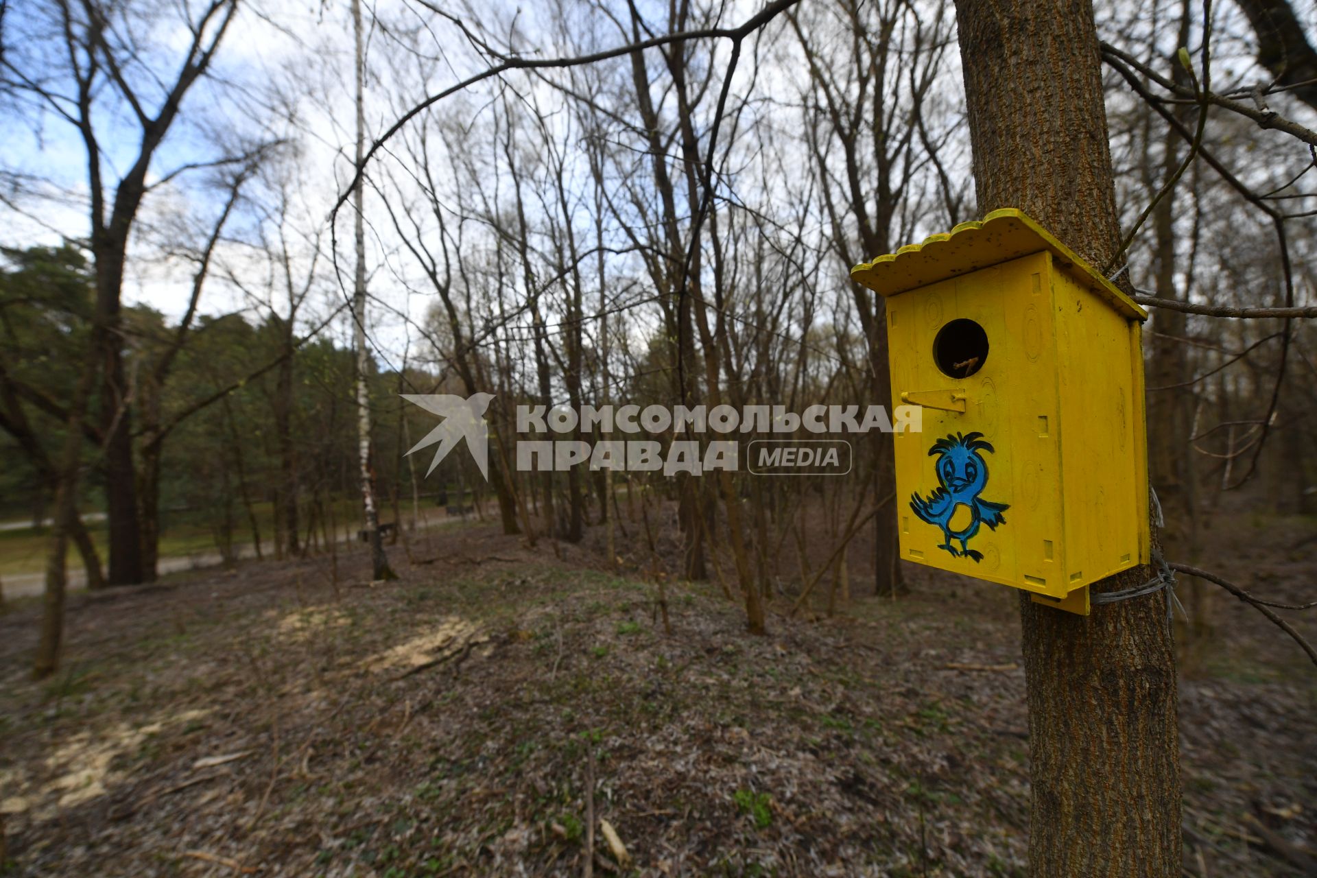 Москва. Скворечник  на экологической тропе в Серебряном бору.