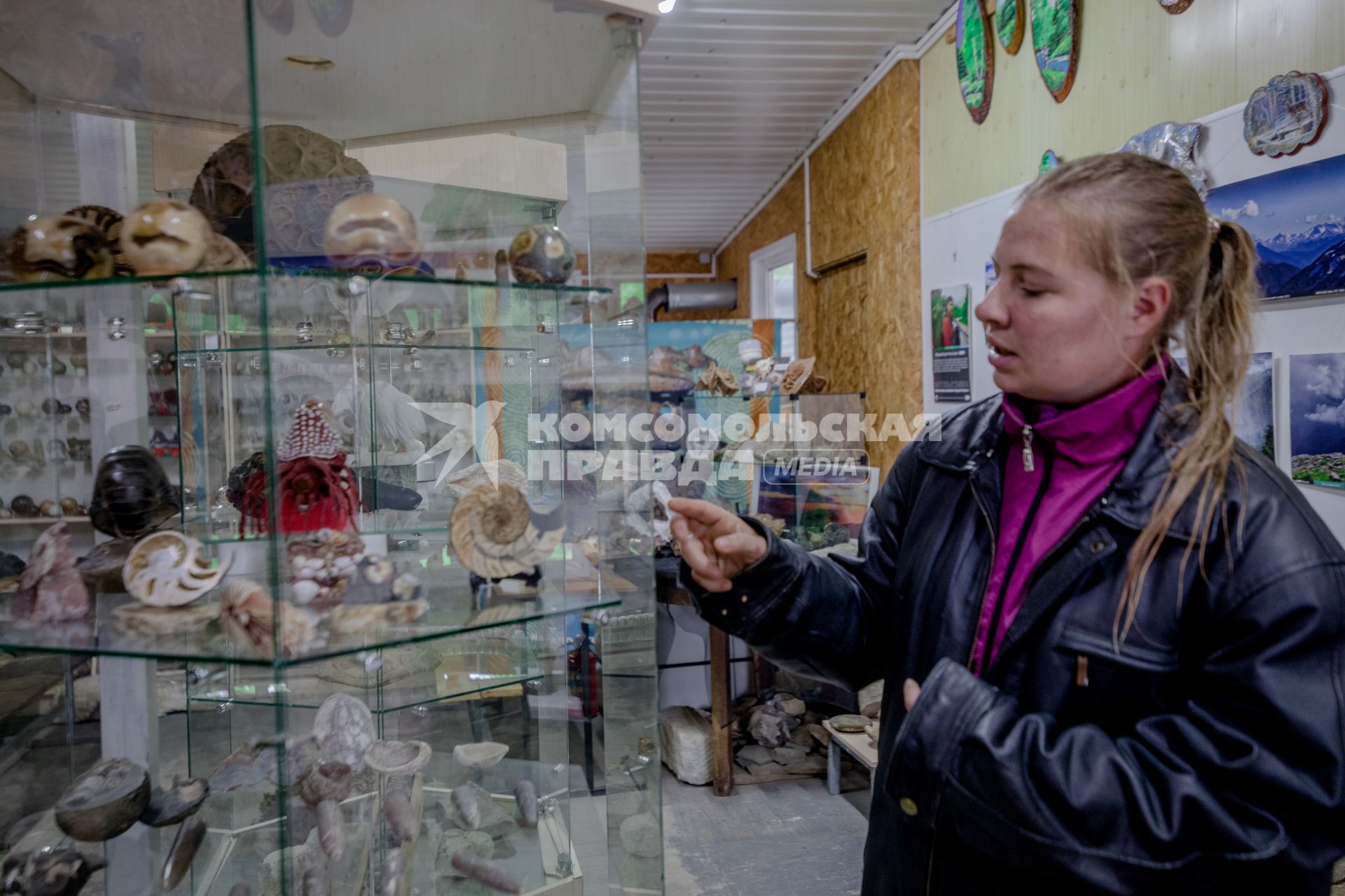 Республика Адыгея, п. Каменномостский. Музей ископаемых аммонитов и белемнитов.