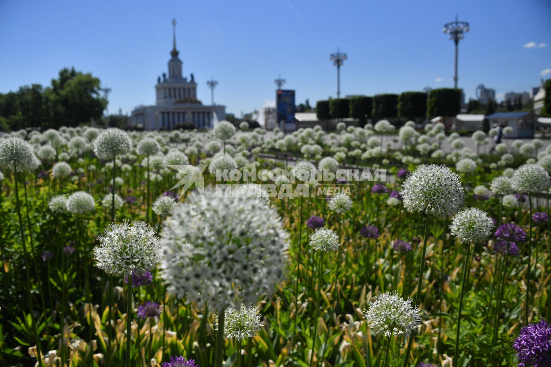 Москва.     Вид на  Главный павильон  на ВДНХ.