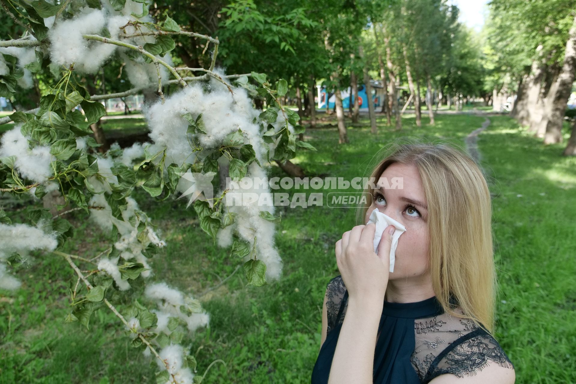 Самара.   Аллергия на тополиный пух.