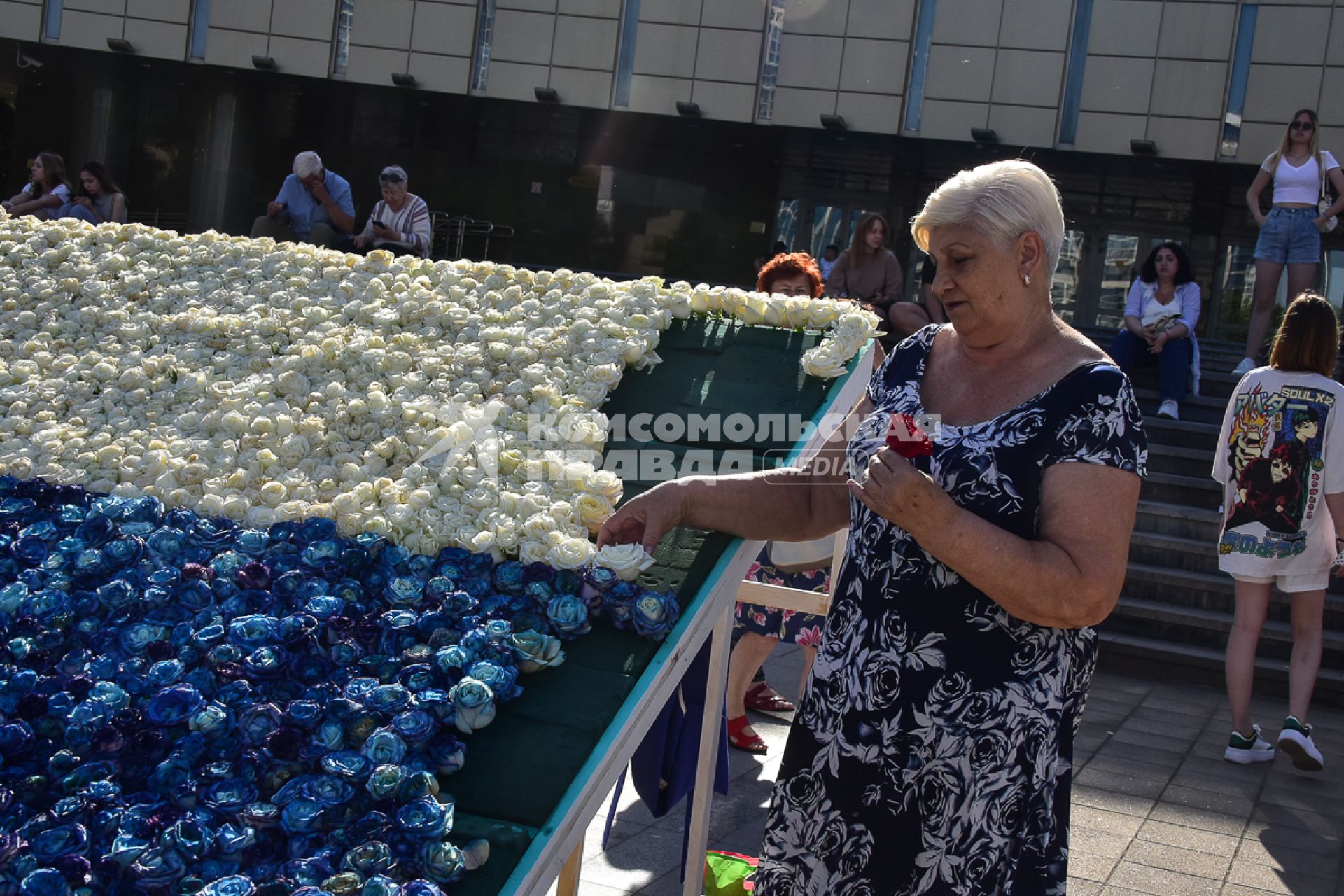 Краснодар. Самый большой  флаг России из роз собрали на главной площади города  к празднику День России.