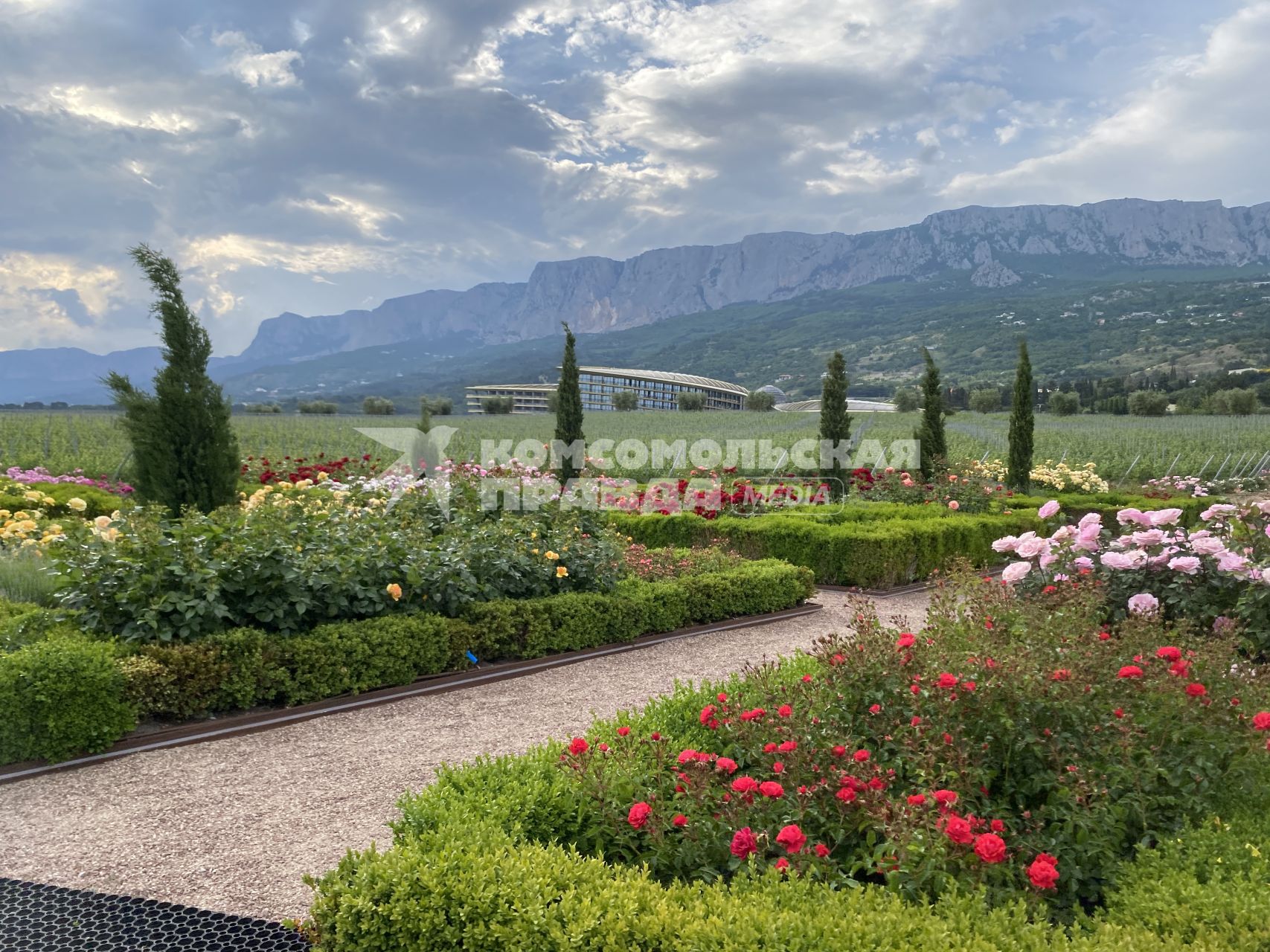 Крым. п.Понизовка. Центр винного туризма Winepark.