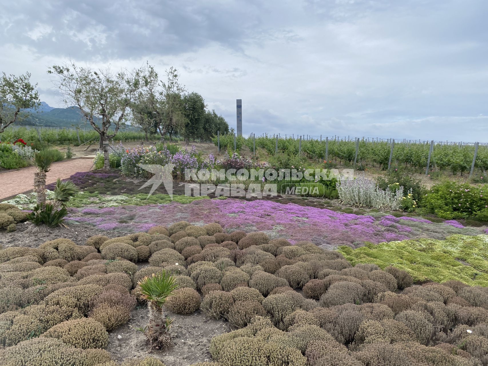 Крым. п.Понизовка. Центр винного туризма Winepark.