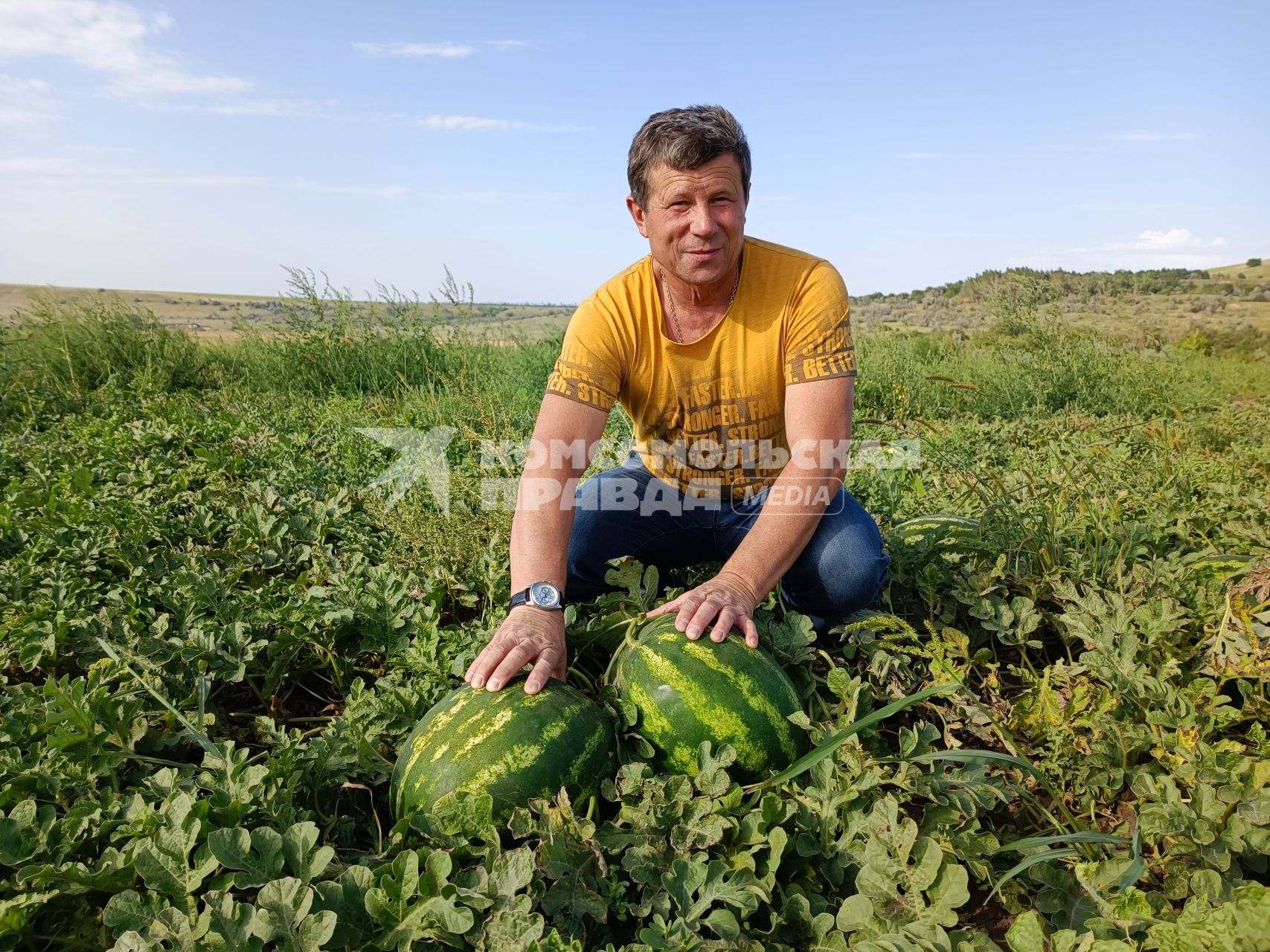 Ставропольский край. Фермер Александр Пономарев на бахчевом поле.