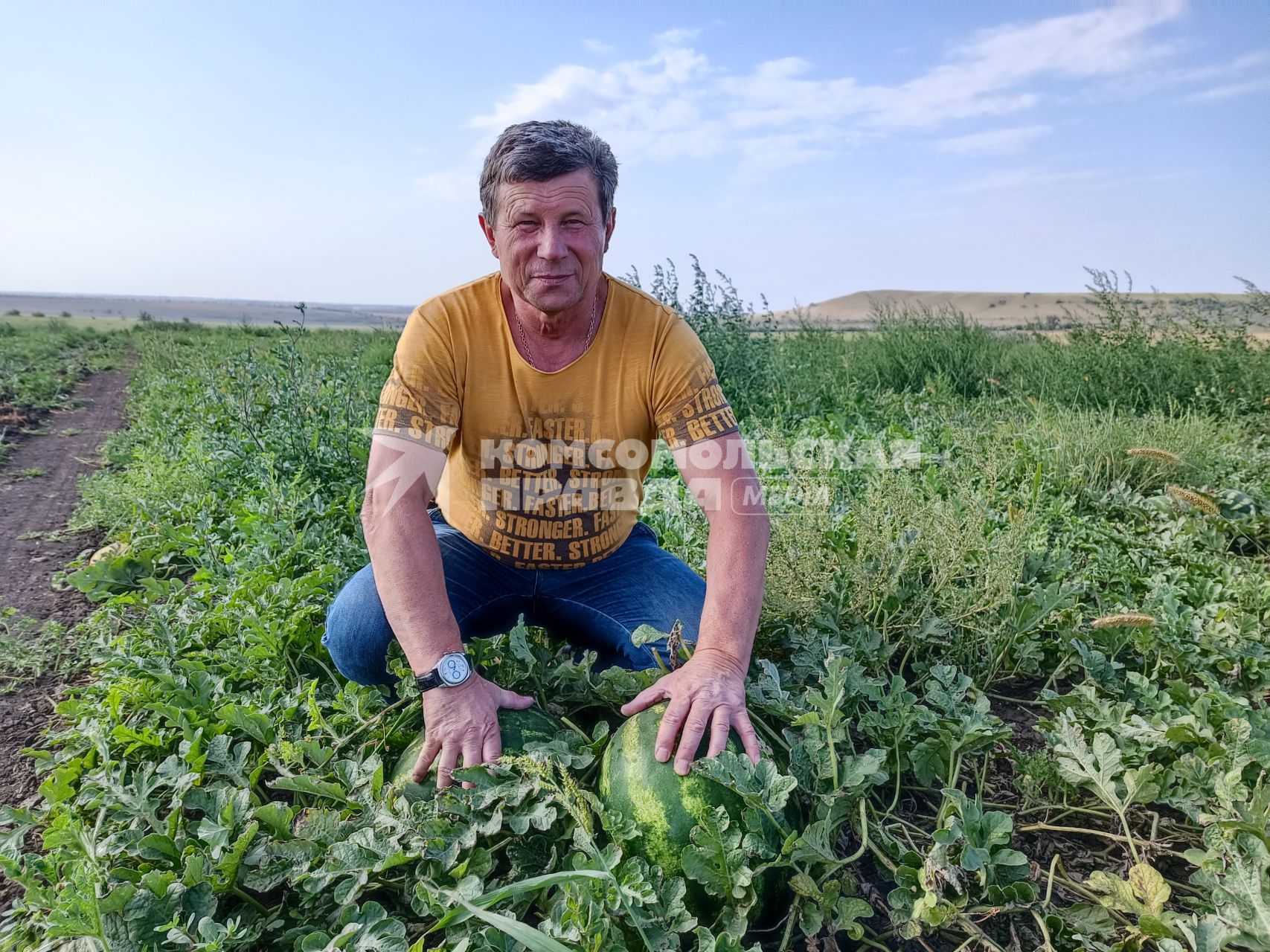 Ставропольский край. Фермер Александр Пономарев на бахчевом поле.