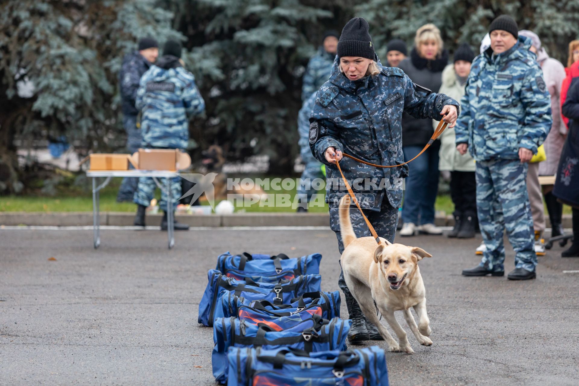 Красноярск. Празднование Дня народного единства на площади Революции. Демонстрация работы служебной собаки.