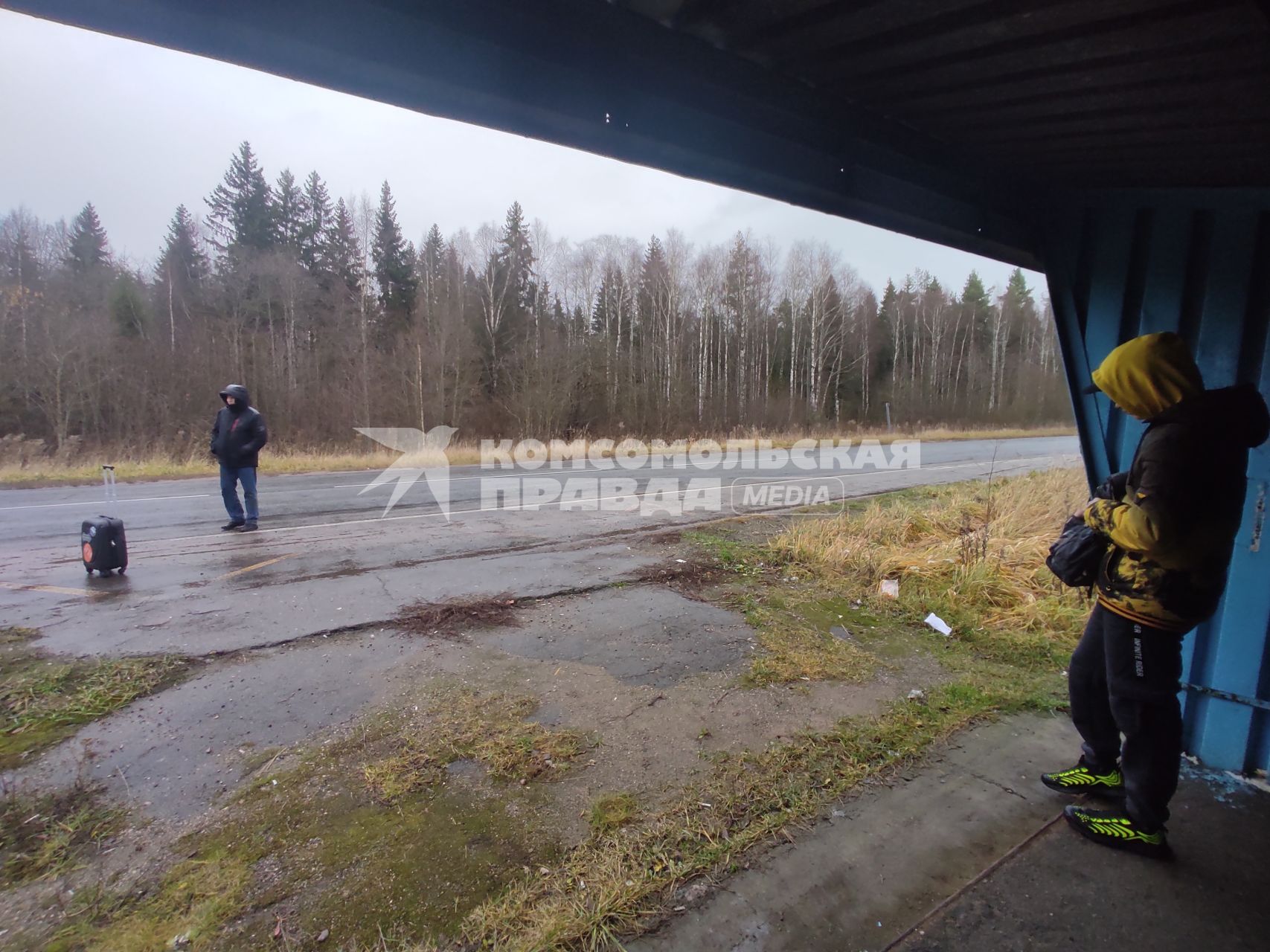 Новгородская  область.   Корреспондент  `Комсомольской правды` Владимир Ворсобин `голосует` на дороге.