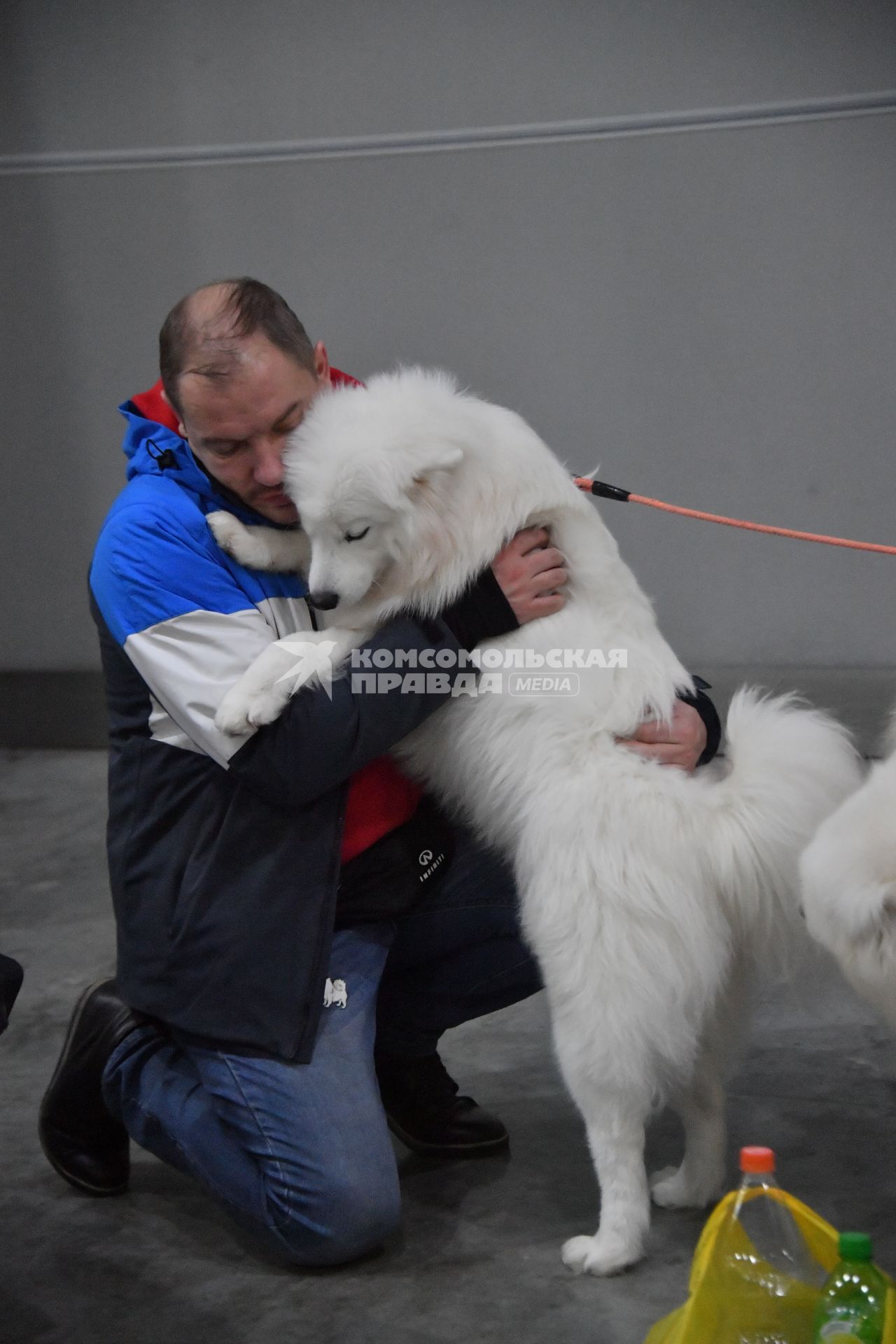 Московская область. Красногорск. Мужчина с собакой породы самоедская лайка на выставке собак `Россия. Кубок РКФ 2020-2021` и `Россия. Кубок РКФ & Кубок Москвы-2022` в МВЦ `Крокус Экспо`.