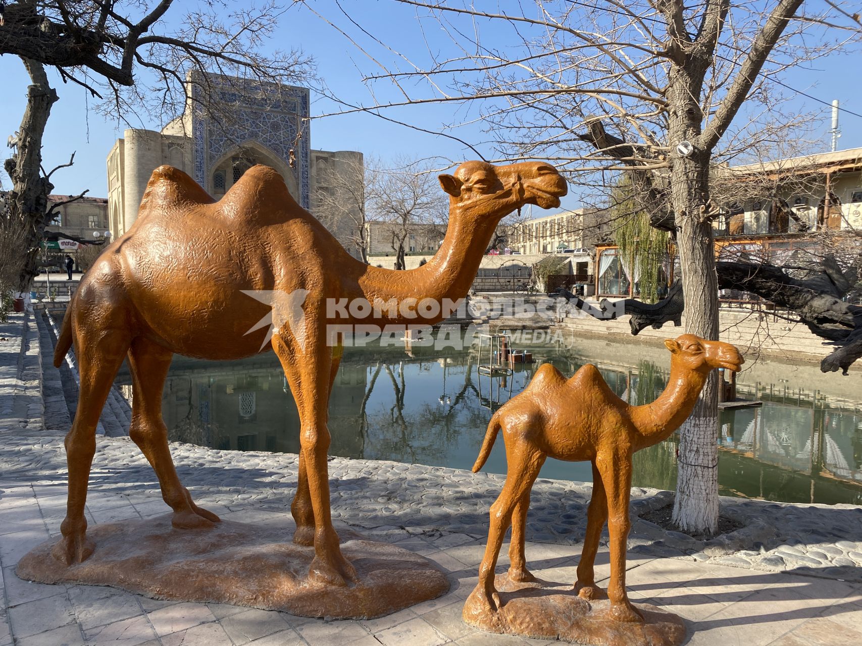 Республика Узбекистан. г. Бухара. Статуи верблюдов.