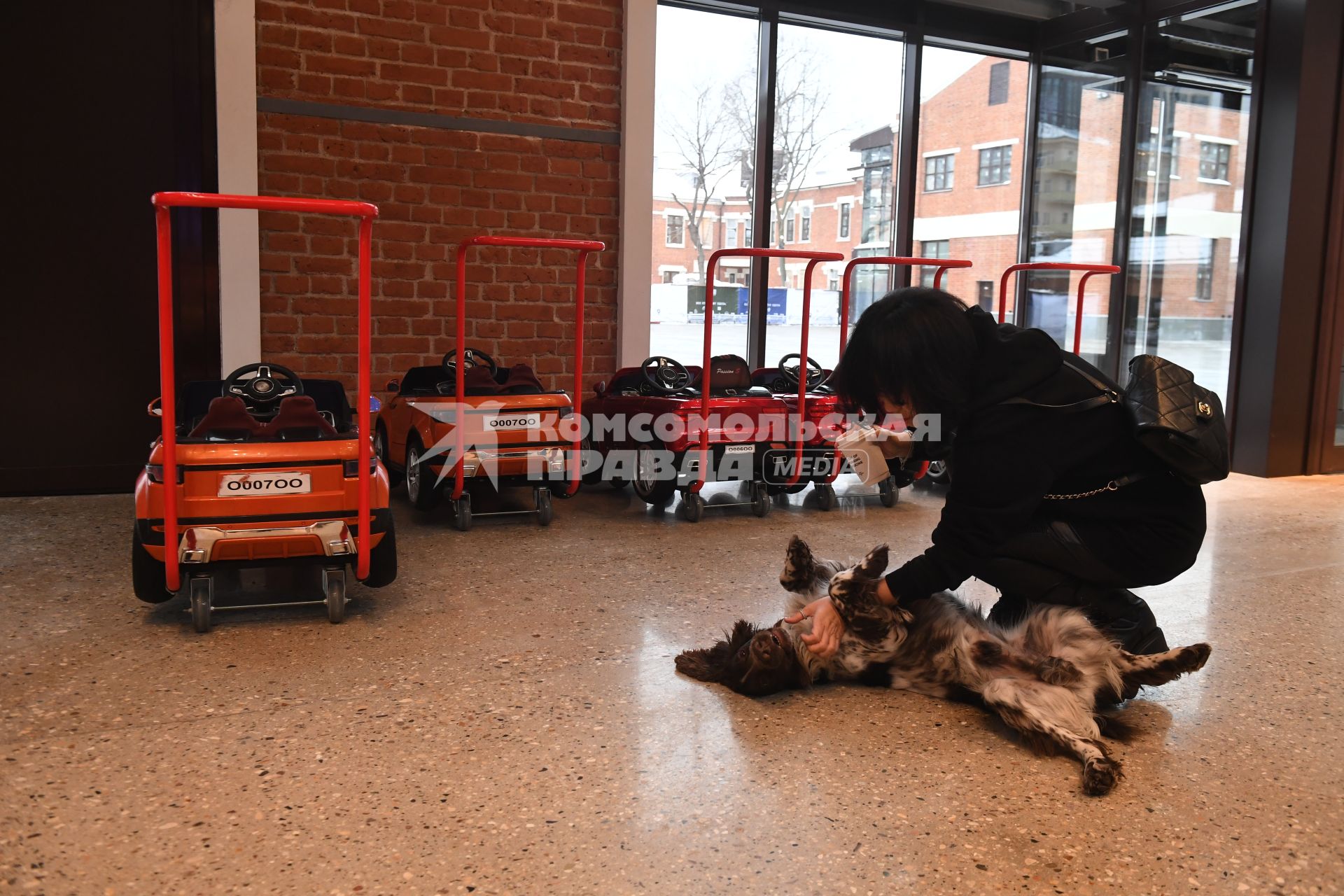 Москва. Девушка с собакой на территории dog-friendly нового пространства `Депо. Три вокзала`на Новорязанской улице.