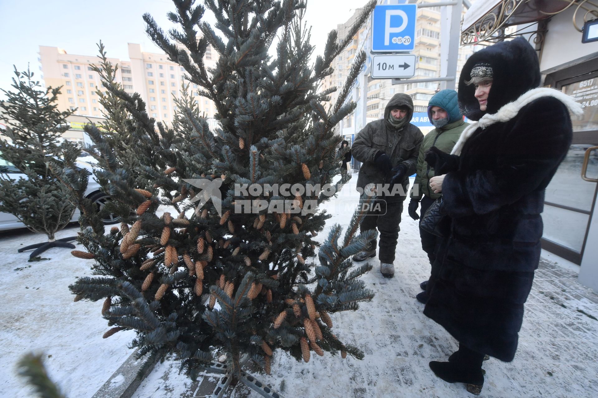 Хабаровск.  Корреспонденты `Комсомольской правды` Владимир Ворсобин и Иван Макеев путешествуют автостопом по России. Продажа новогодних елок.