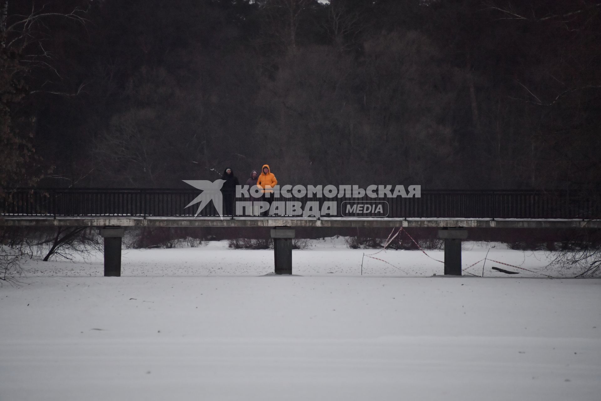 Москва. Горожане во время прогулки в парке Серебряный Бор.