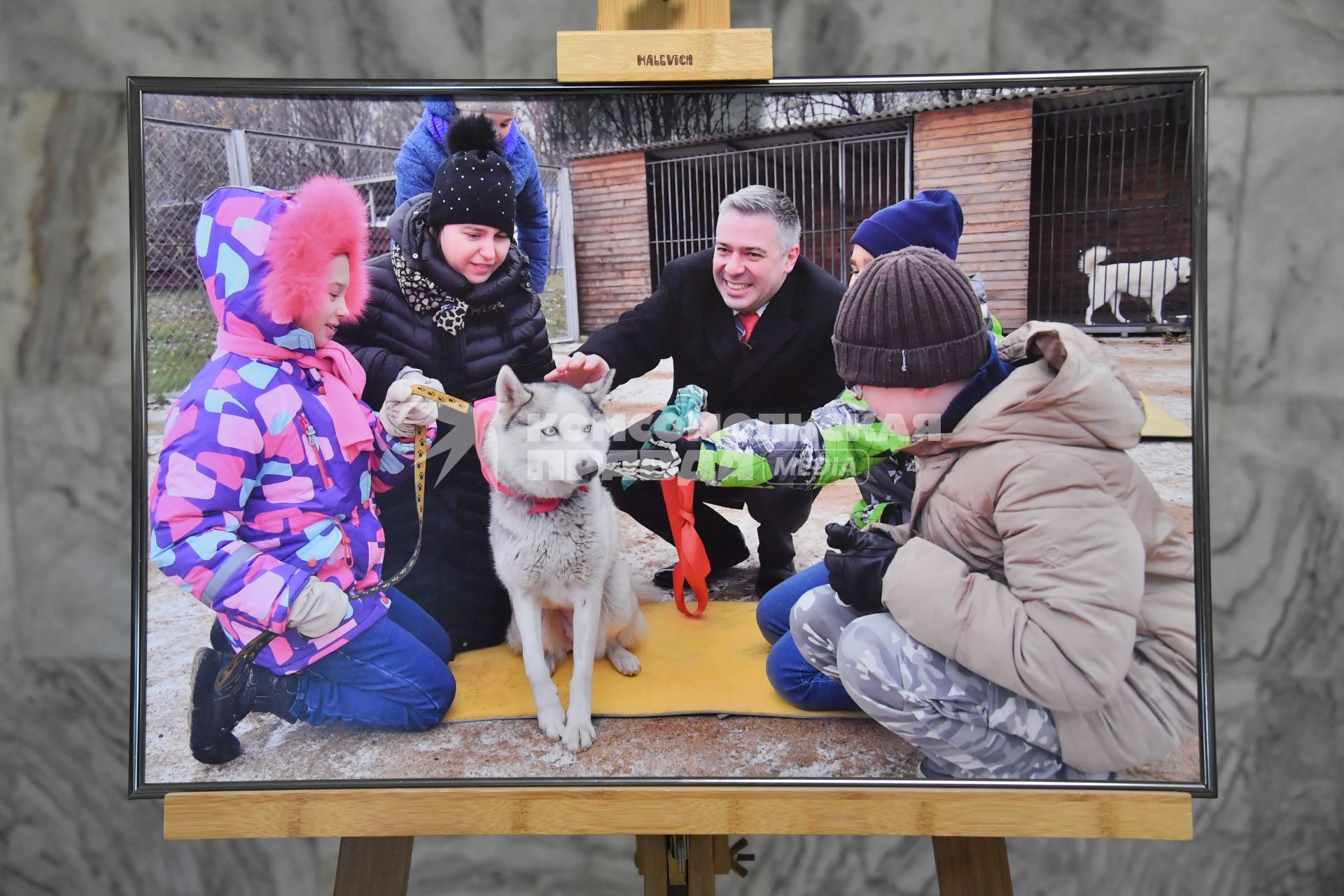 Москва. На фотовыставке  `Хаски-терапия: начинаем путешествие ` в Клубе `Приключение`. Выставка посвящается канистерапии и адаптивному походу с собаками  для  людей с инвалидностью и особенностями здоровья.