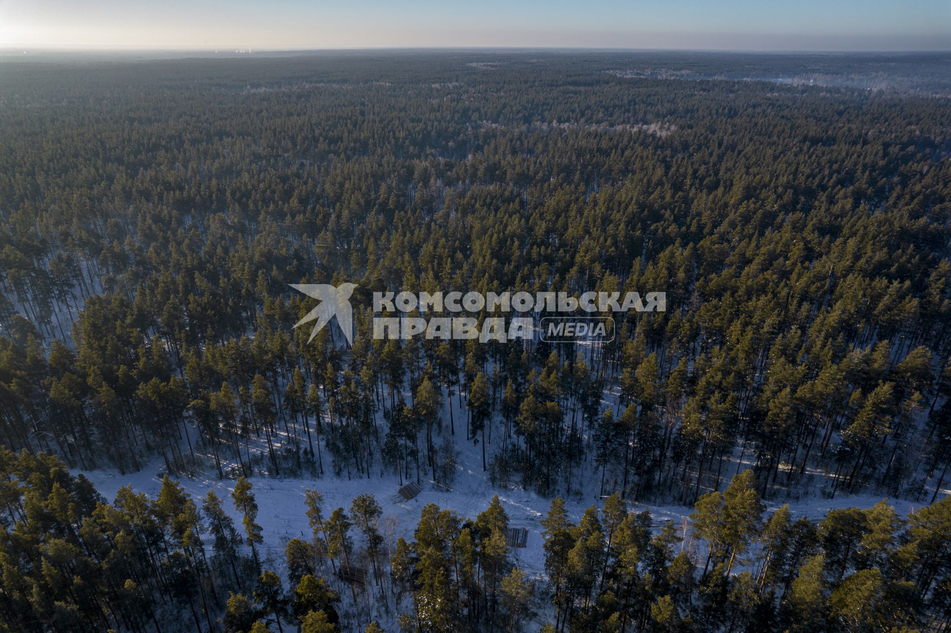 Алтайский край. Село Ларичиха.  Корреспонденты `Комсомольской правды` Владимир Ворсобин и Иван Макеев путешествуют автостопом по России. Вид сверху на лес.