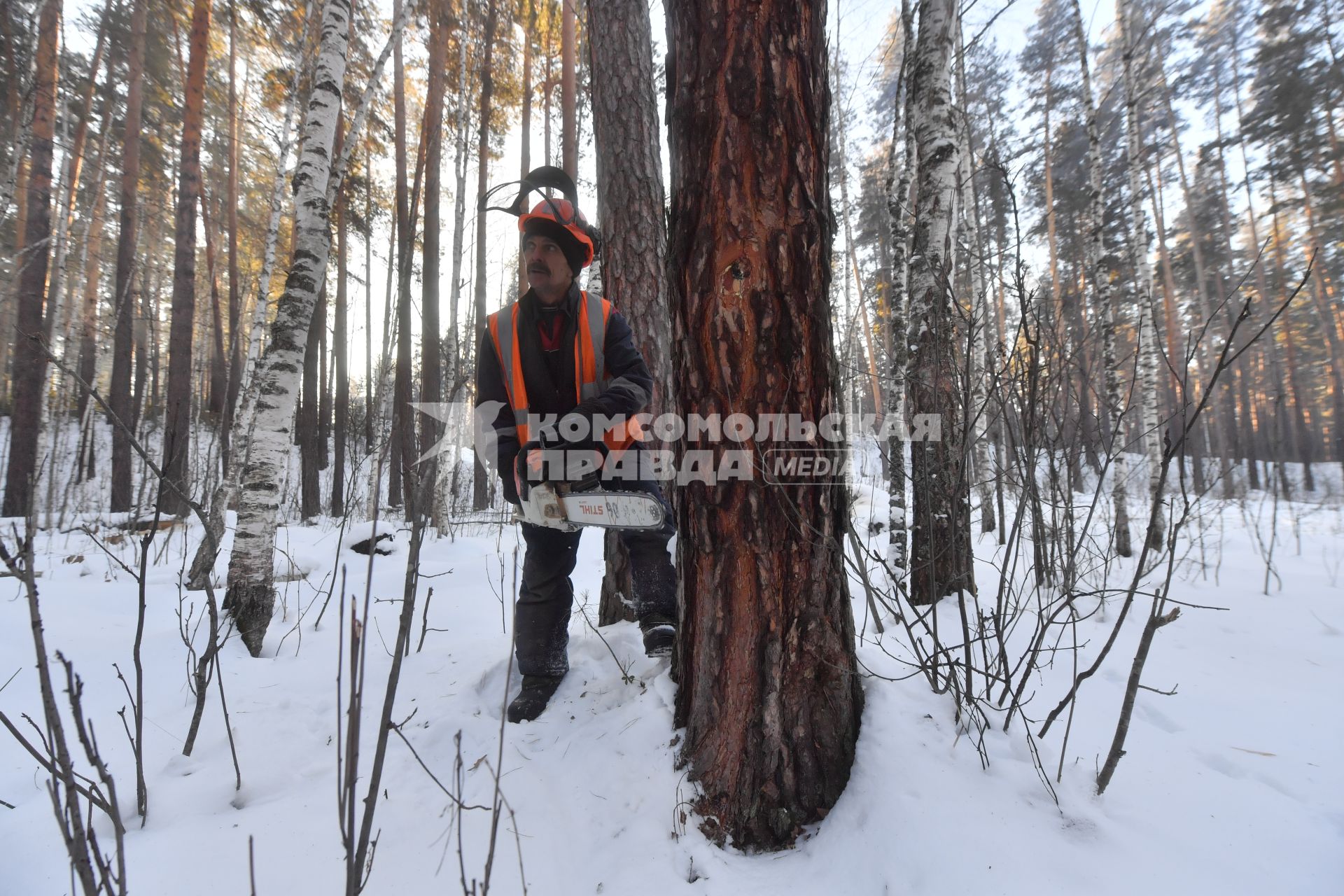 Алтайский край. Село Ларичиха.  Корреспонденты `Комсомольской правды` Владимир Ворсобин и Иван Макеев путешествуют автостопом по России. Валка леса в тайге.