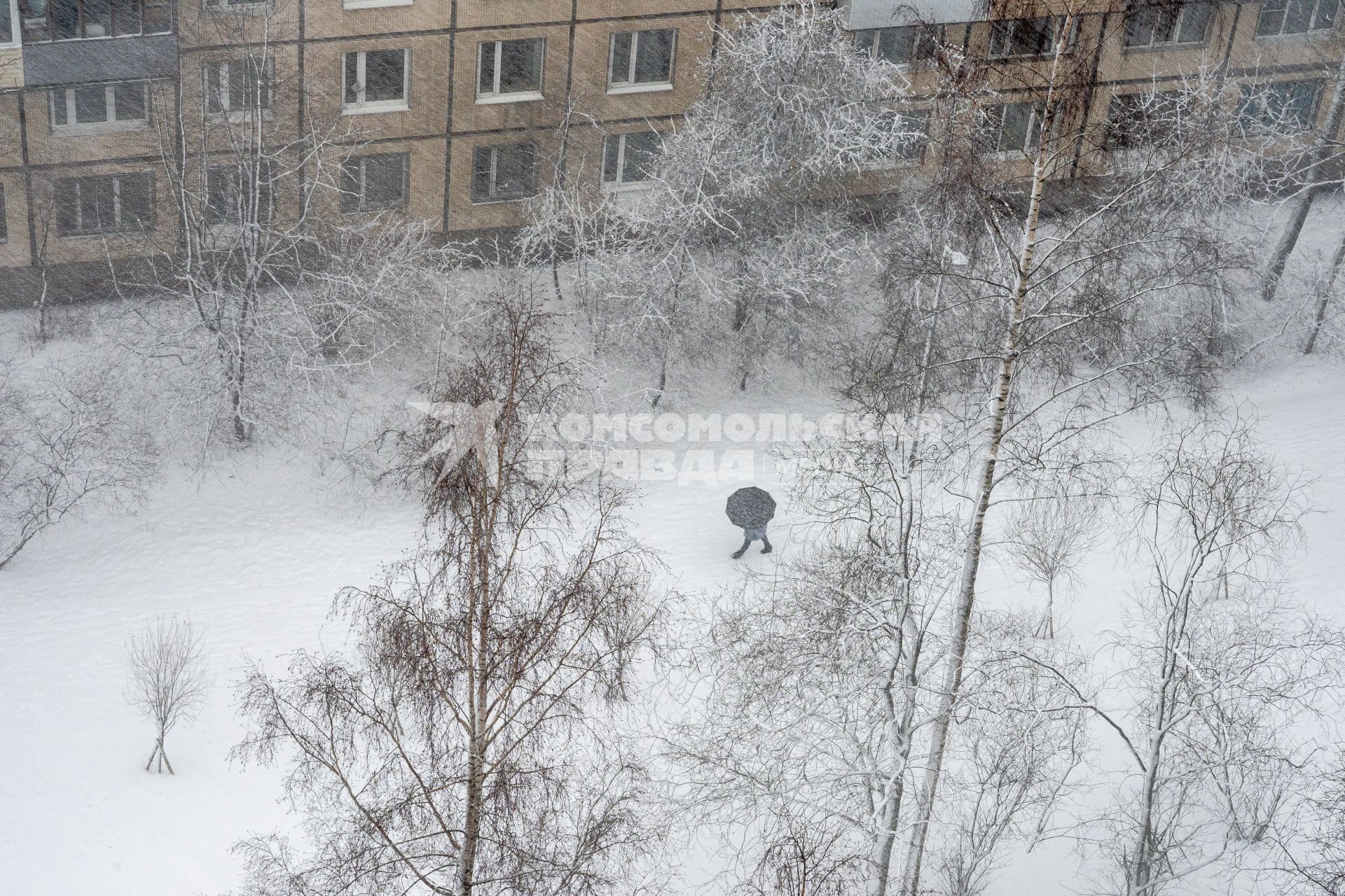 Санкт-Петербург. Прохожий во время снежного шторма на улице города.