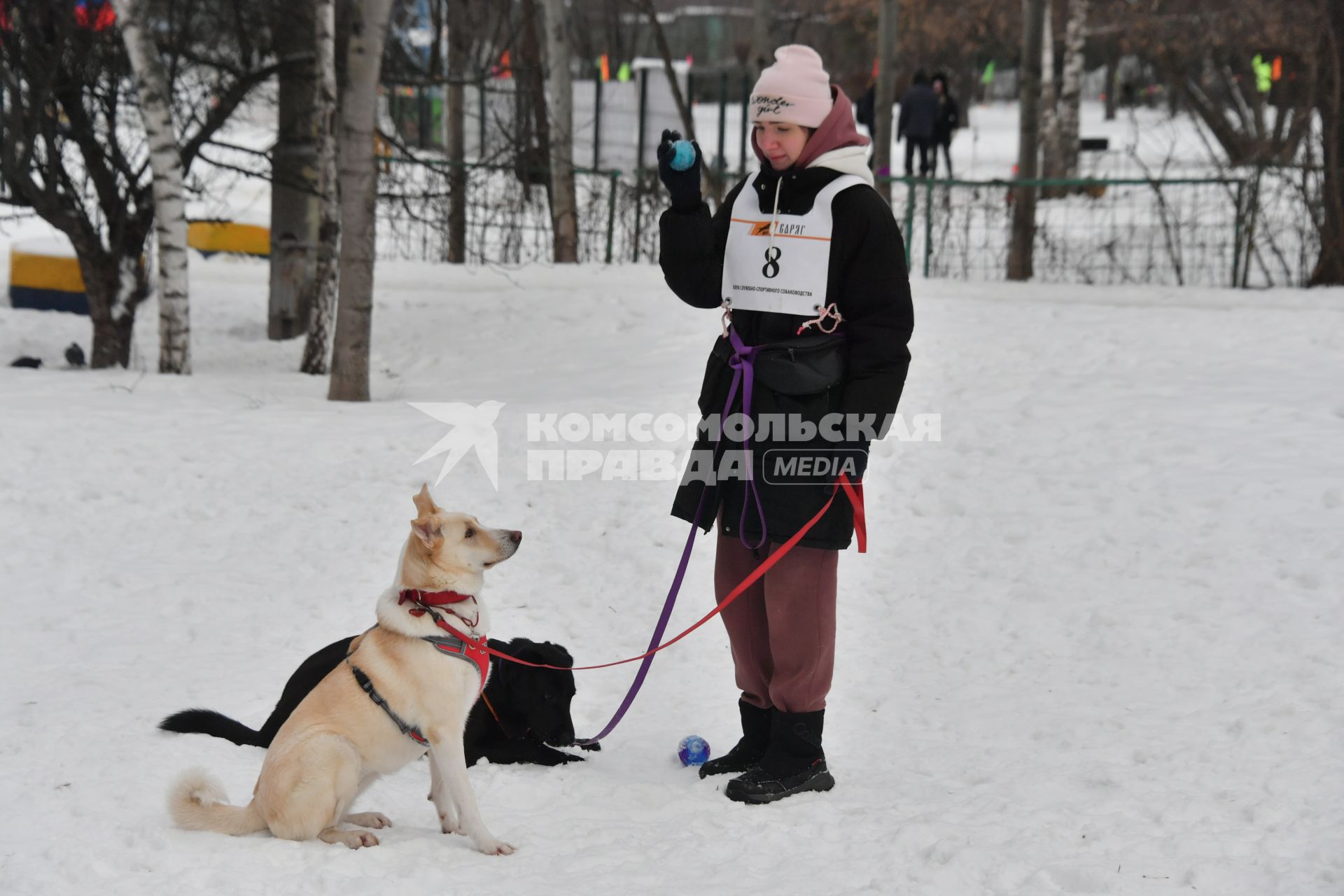 Москва. Девушка с собакой на соревнованиях по скипуллингу на Косинской улице.