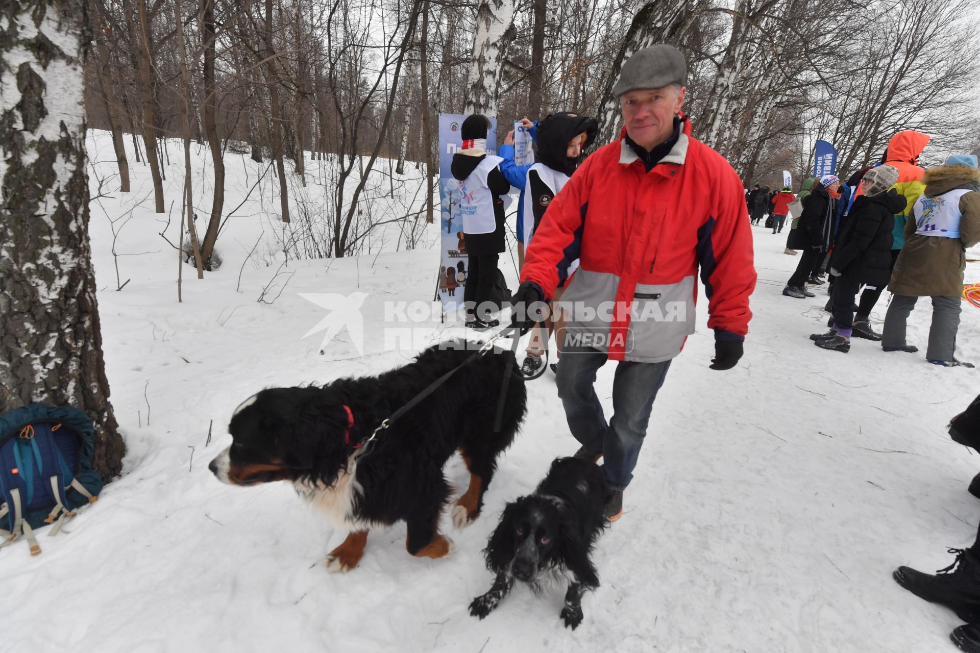 Москва. Мужчина на прогулке с собаками в парке Сокольники.