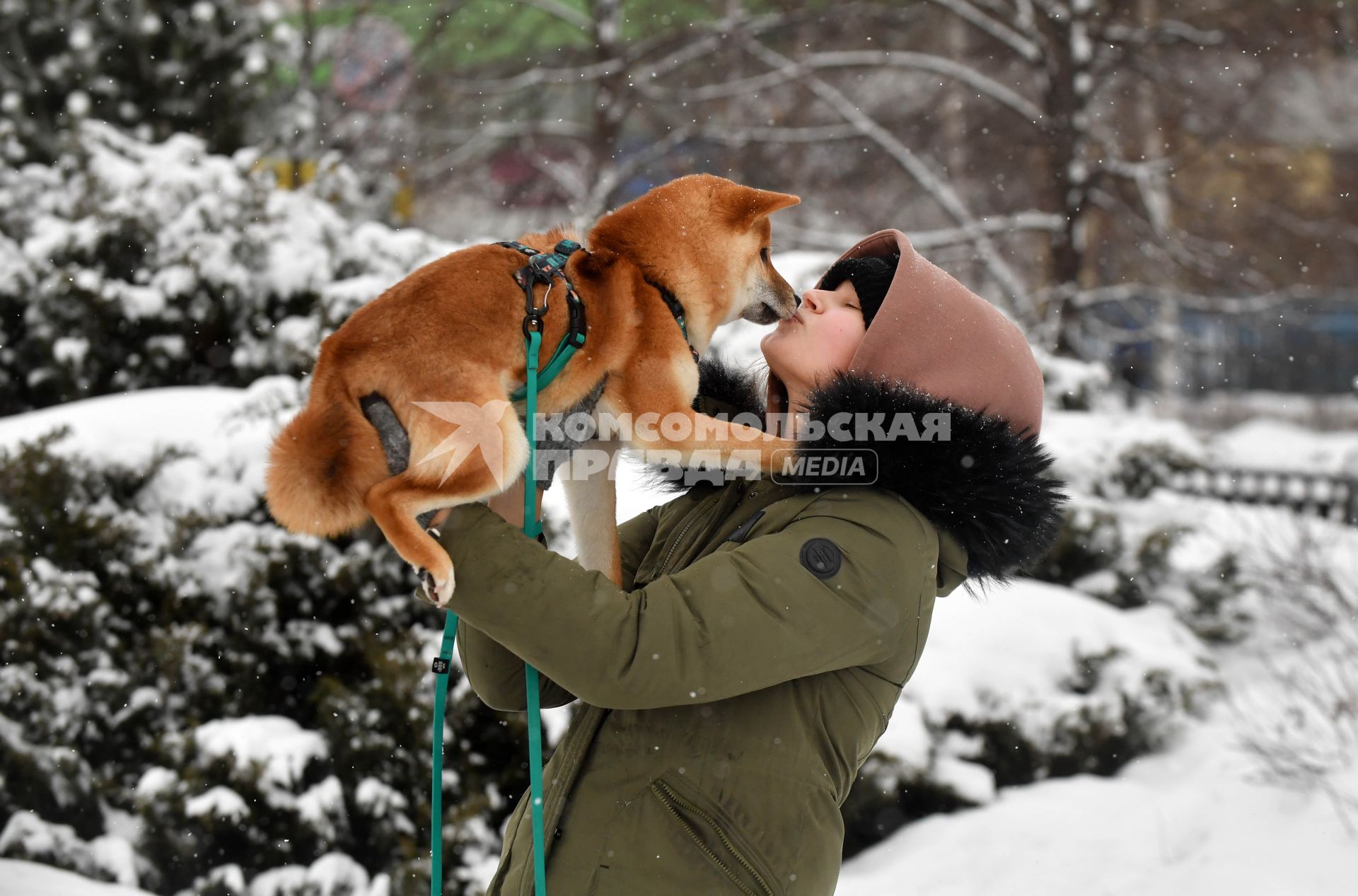 Москва.  Девочка с собакой в парке.