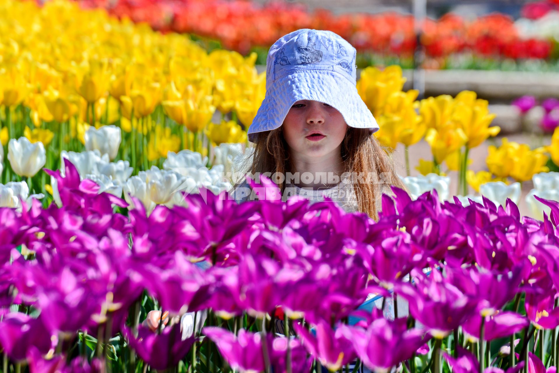 Республика Крым. Ялта. Девочка на ежегодной выставке `Парад тюльпанов` в Никитском ботаническом саду.