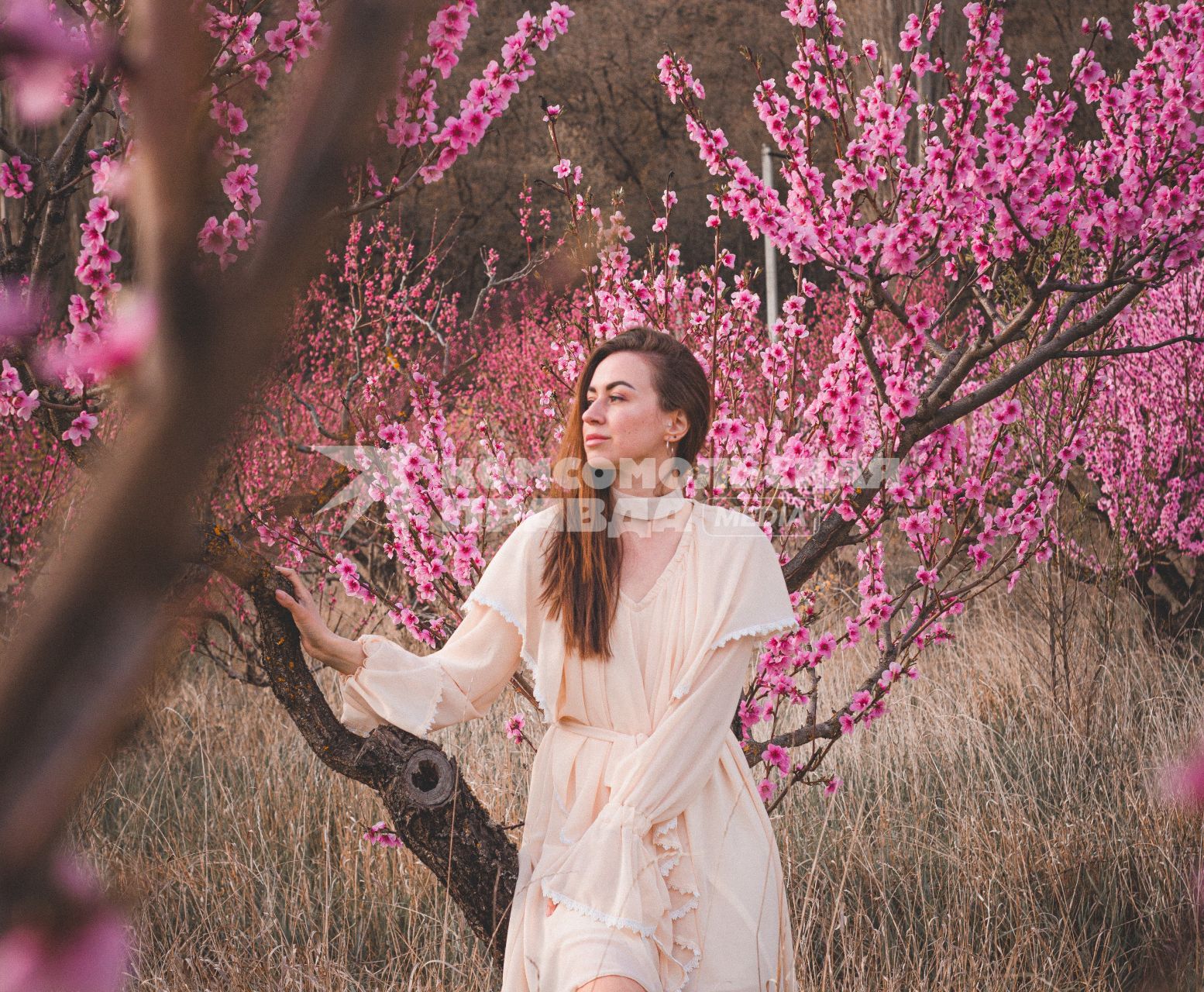 Крым. Девушка позирует на фоне цветущего персикового дерева.