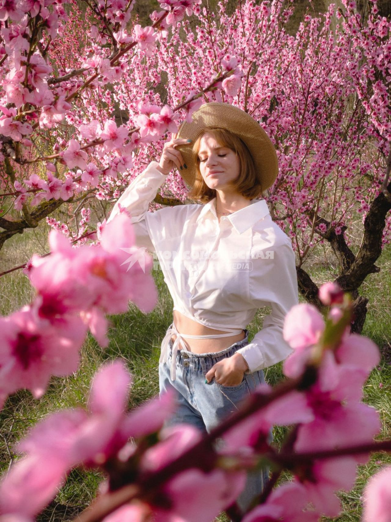 Крым. Девушка позирует на фоне цветущих персиковых деревьев.