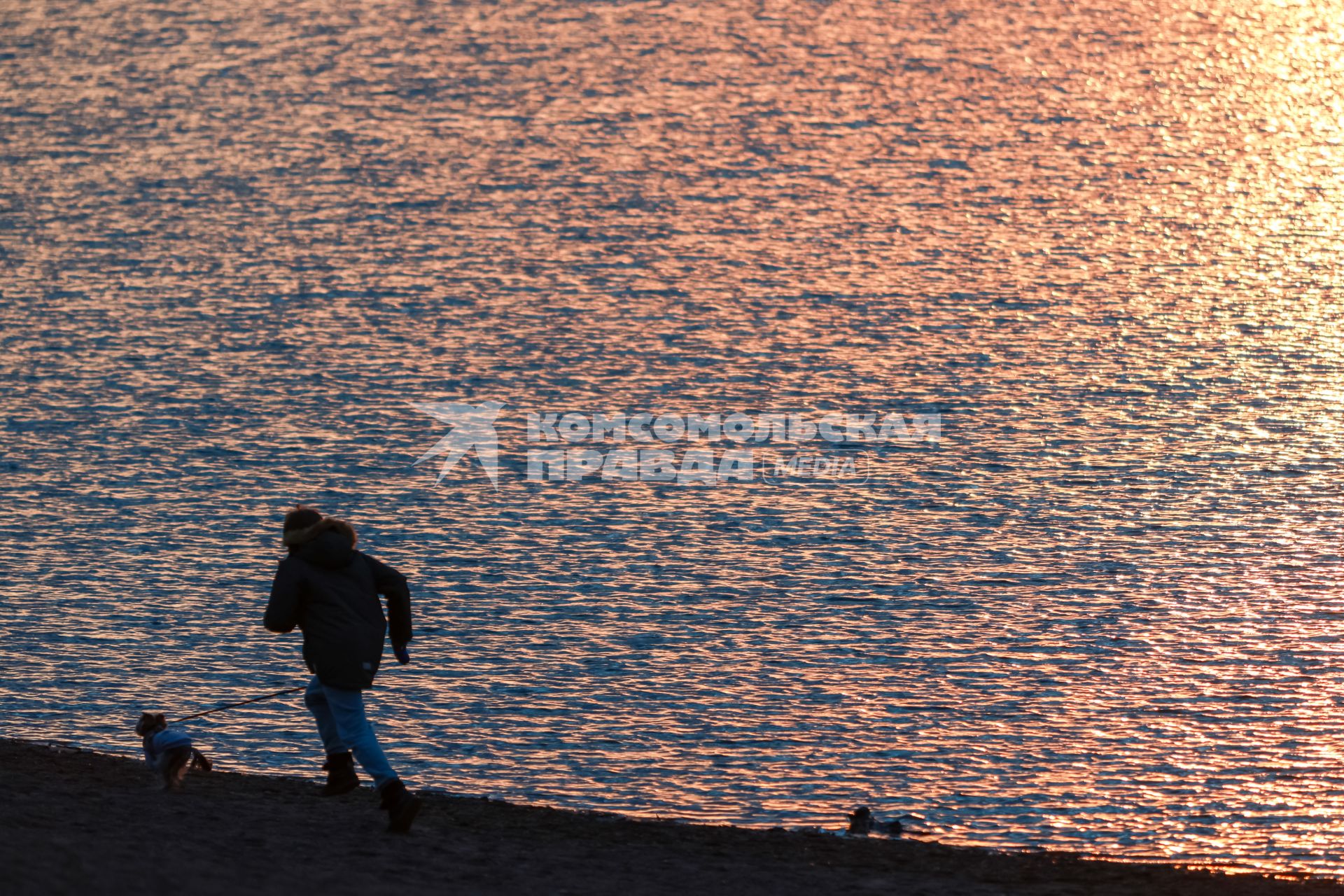 Красноярск. Девушка гуляет с собакой на набережной во время заката.