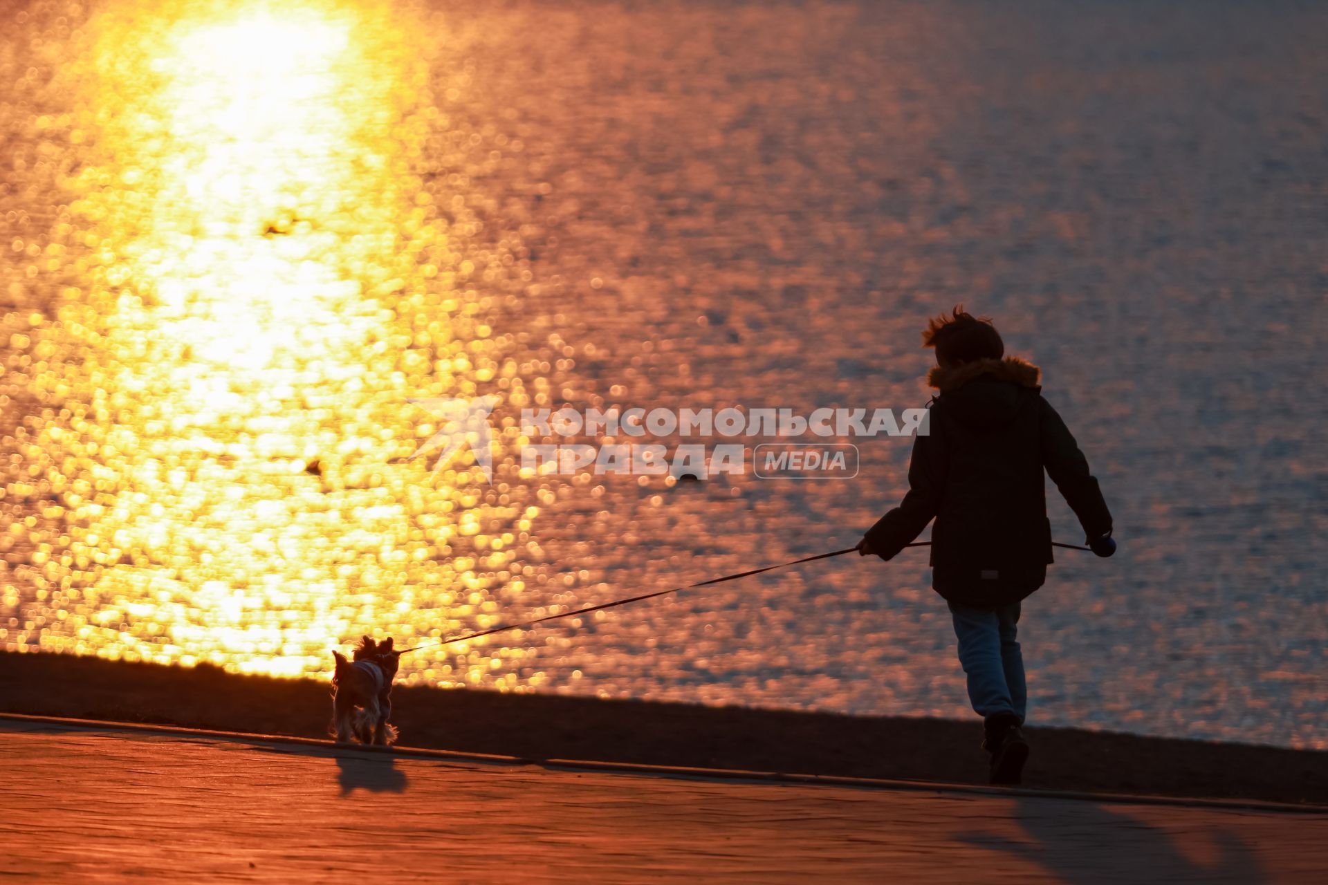 Красноярск. Девушка гуляет с собакой на набережной во время заката.