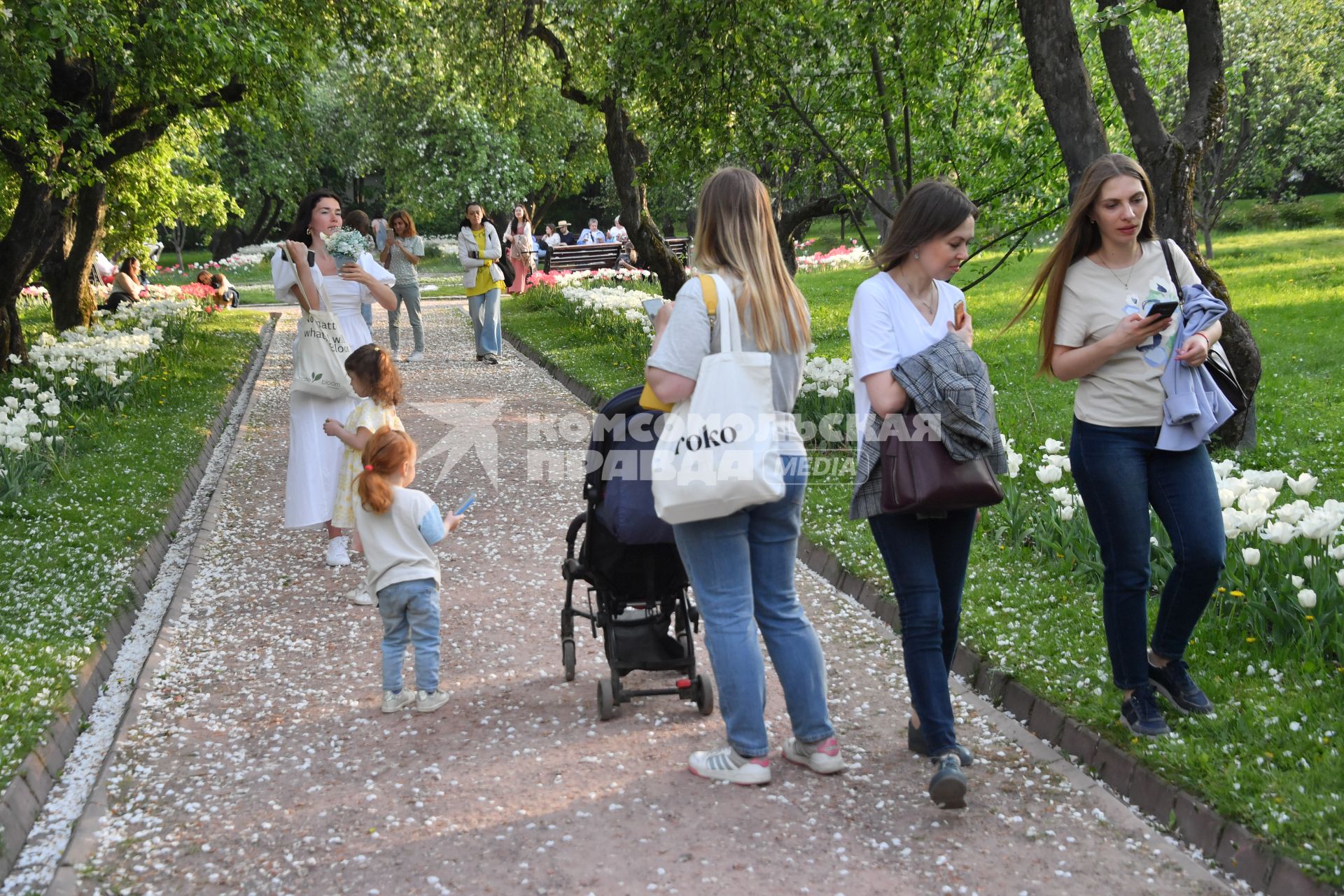 Москва. Горожане на территории государственного музея-заповедника `Коломенское`.