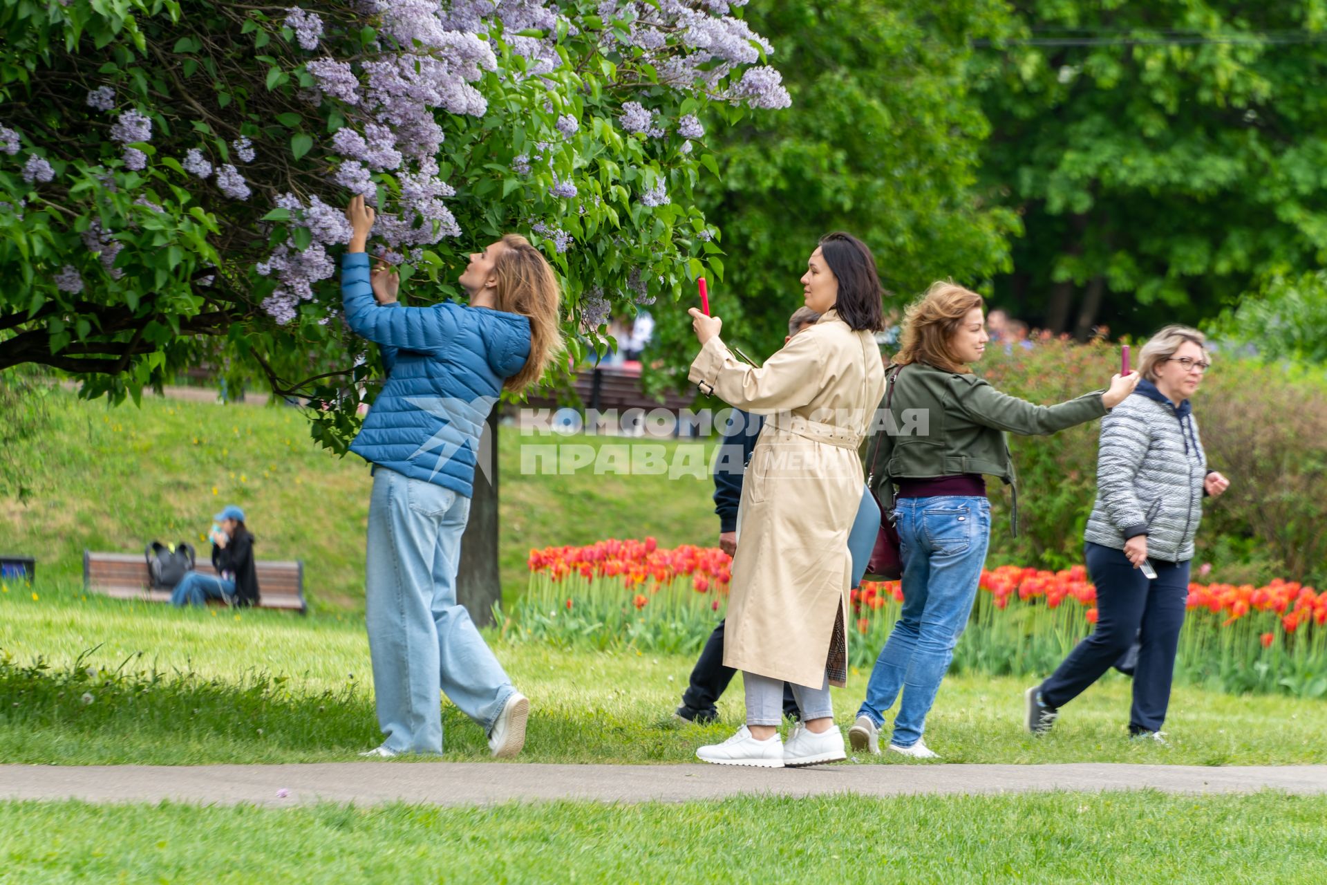 Москва. Девушки фотографируют цветущую сирень в музее-заповеднике `Коломенское`.
