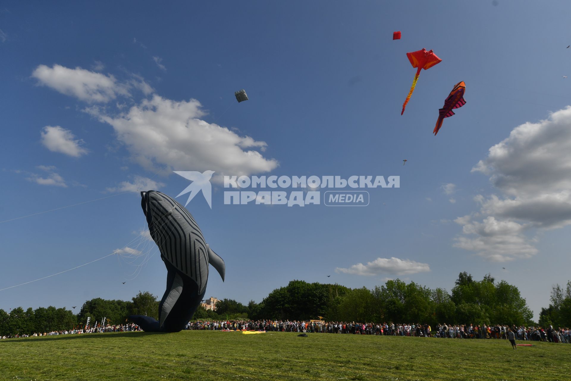 Москва.   Участники фестиваля воздушных змеев `Пестрое небо` в музее-заповеднике `Царицыно`.