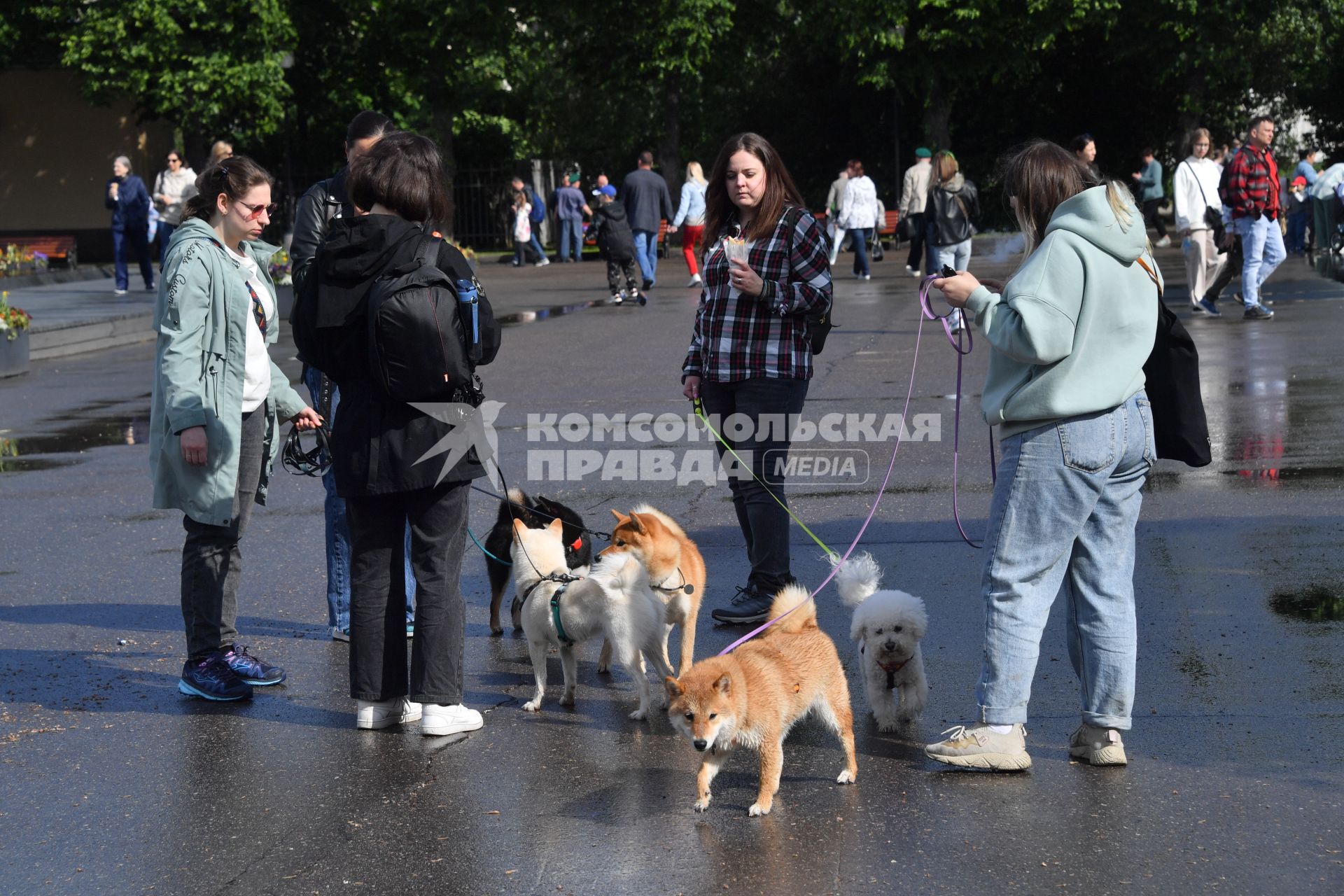 Москва. Горожане  в Парке Горького.