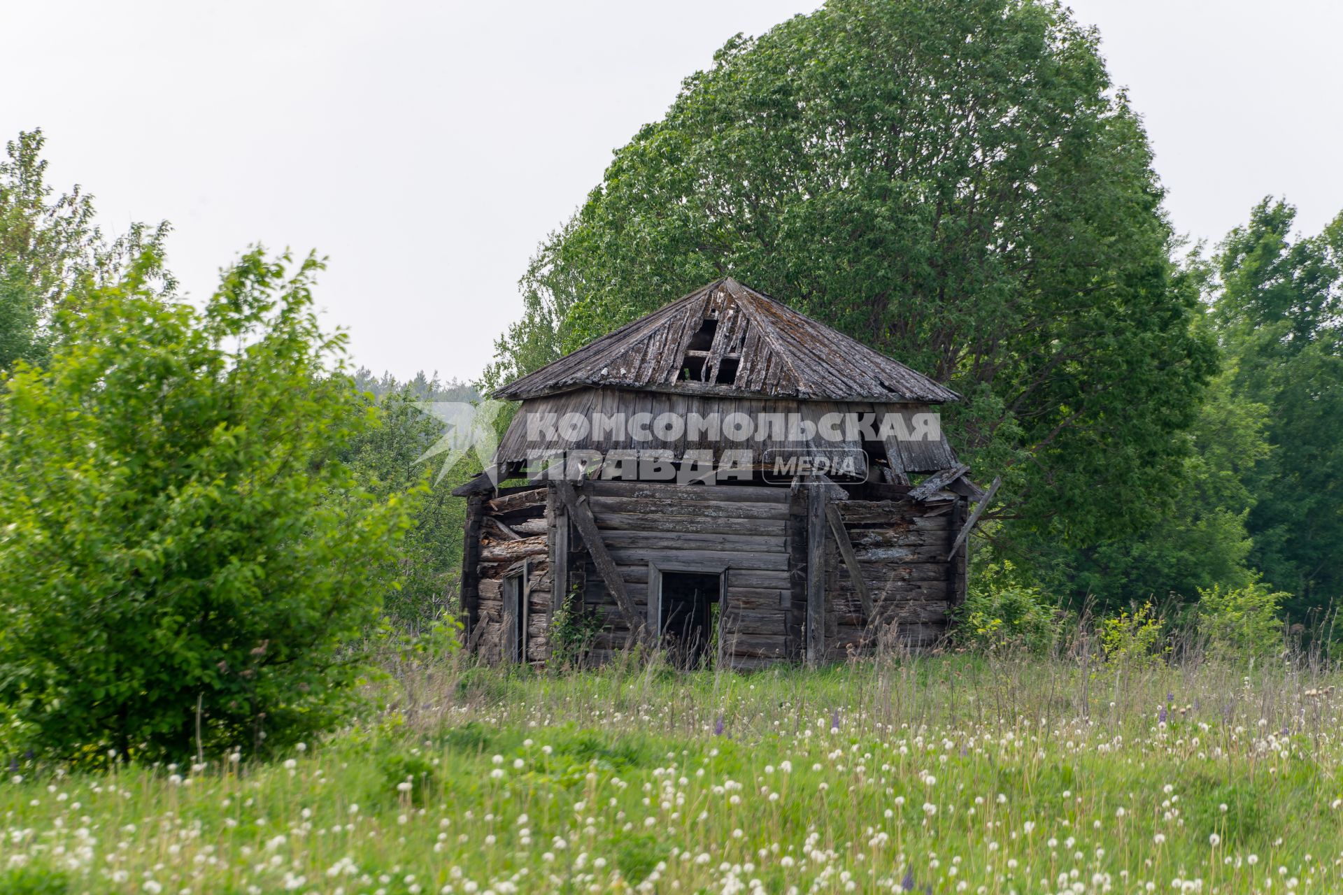 Кировская область. Деревня Безденежные. Старый развалившийся дом.