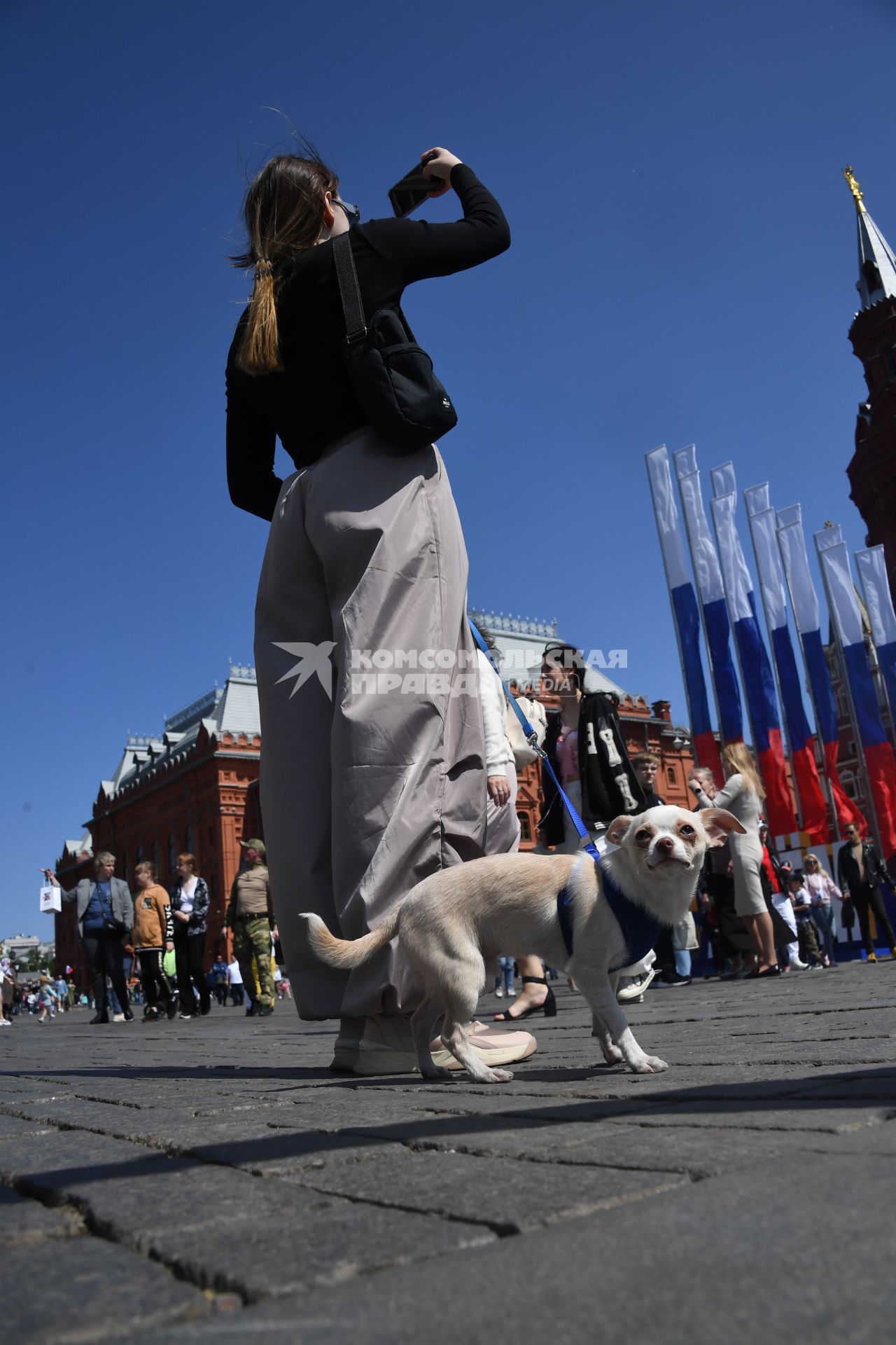 Москва.  Женщина с собакой фотографирует на Манежной площади  в День празднования Дня России.